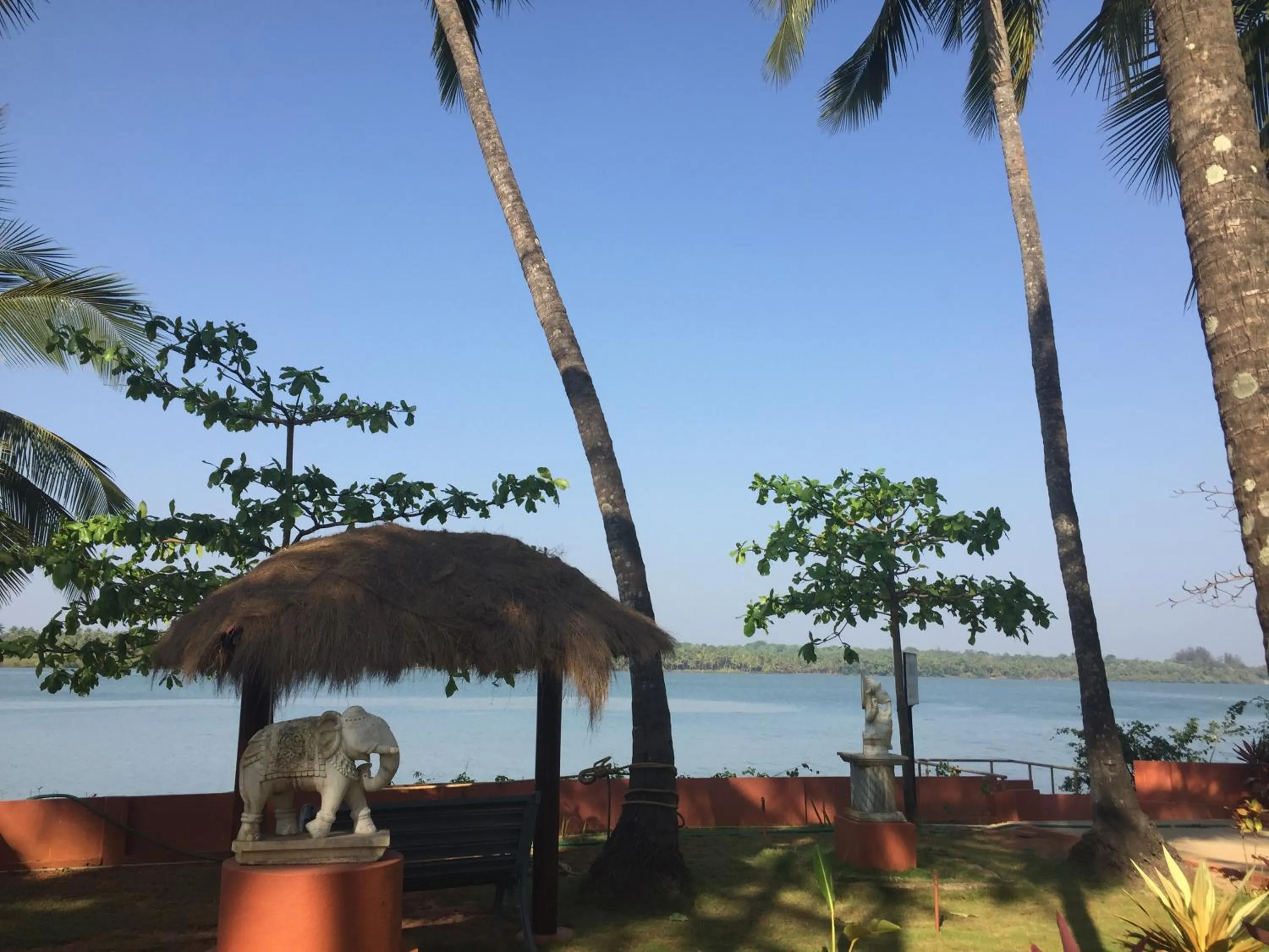 Garden in Paradise Lagoon