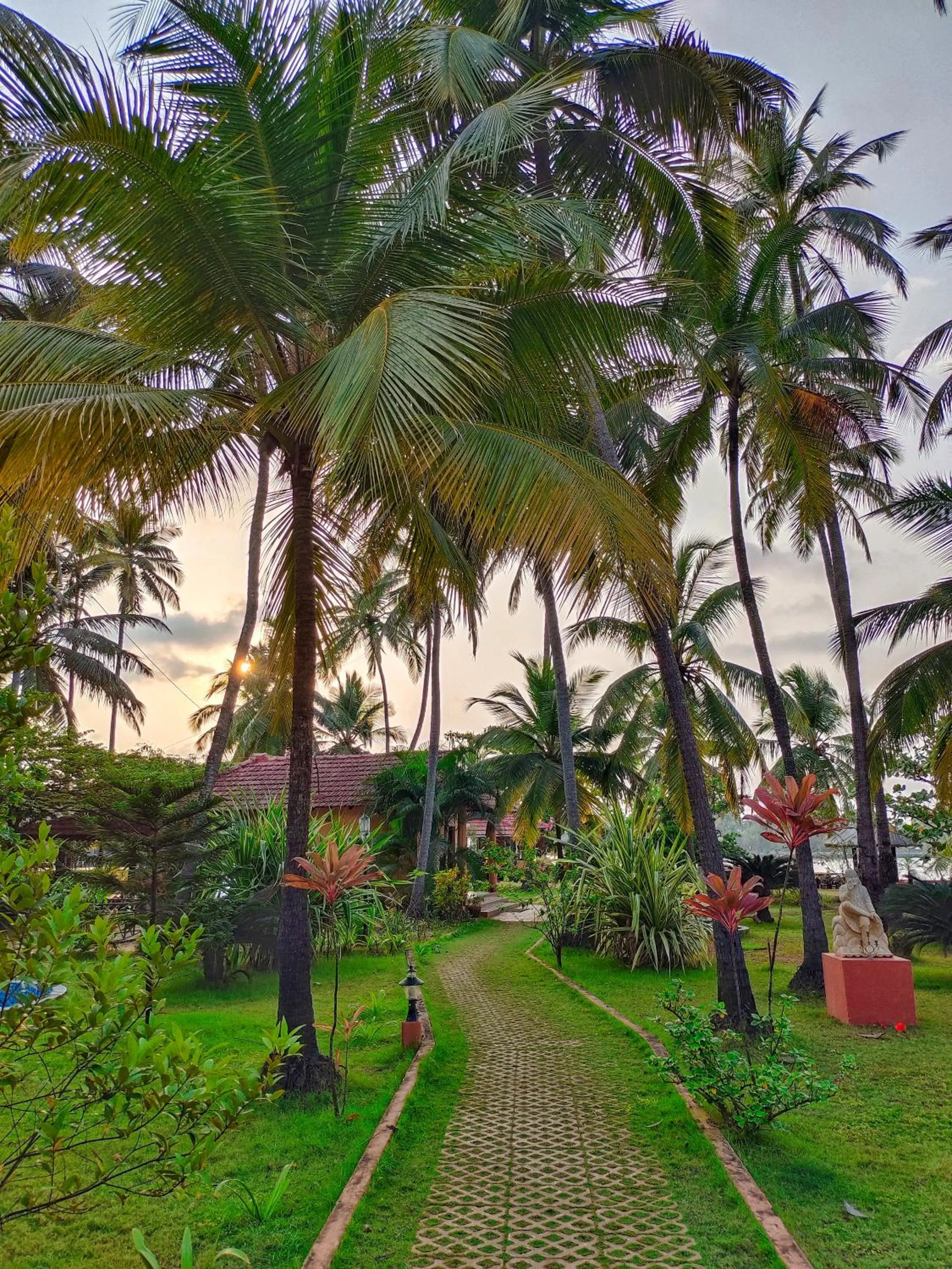 Garden in Paradise Lagoon