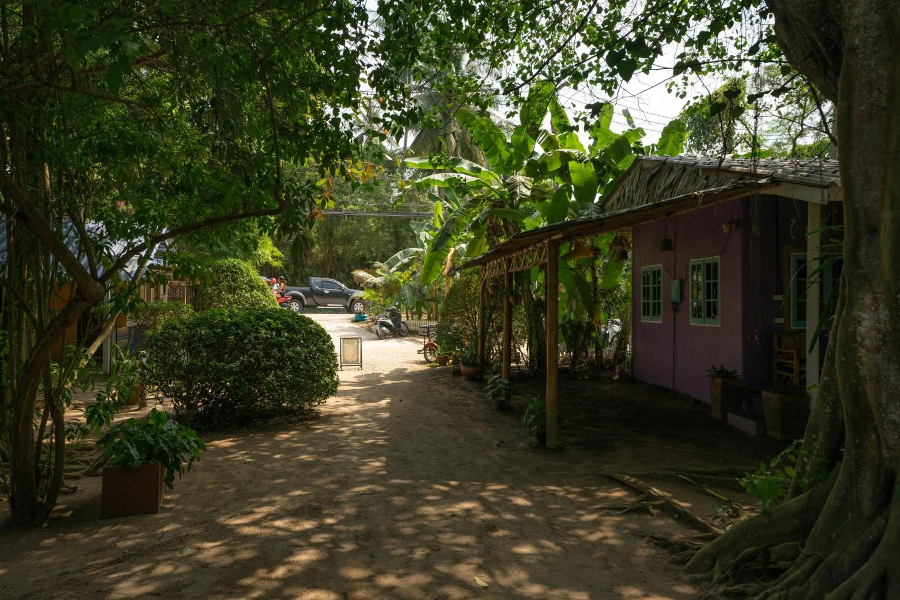 Garden in Colorful Hut