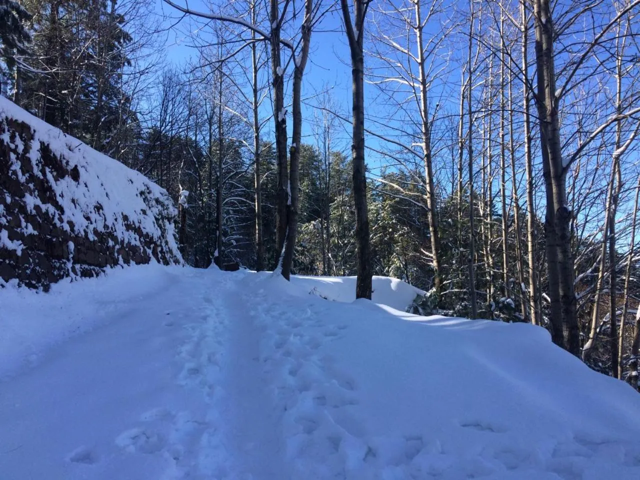 Shangrila Hotels and Resort