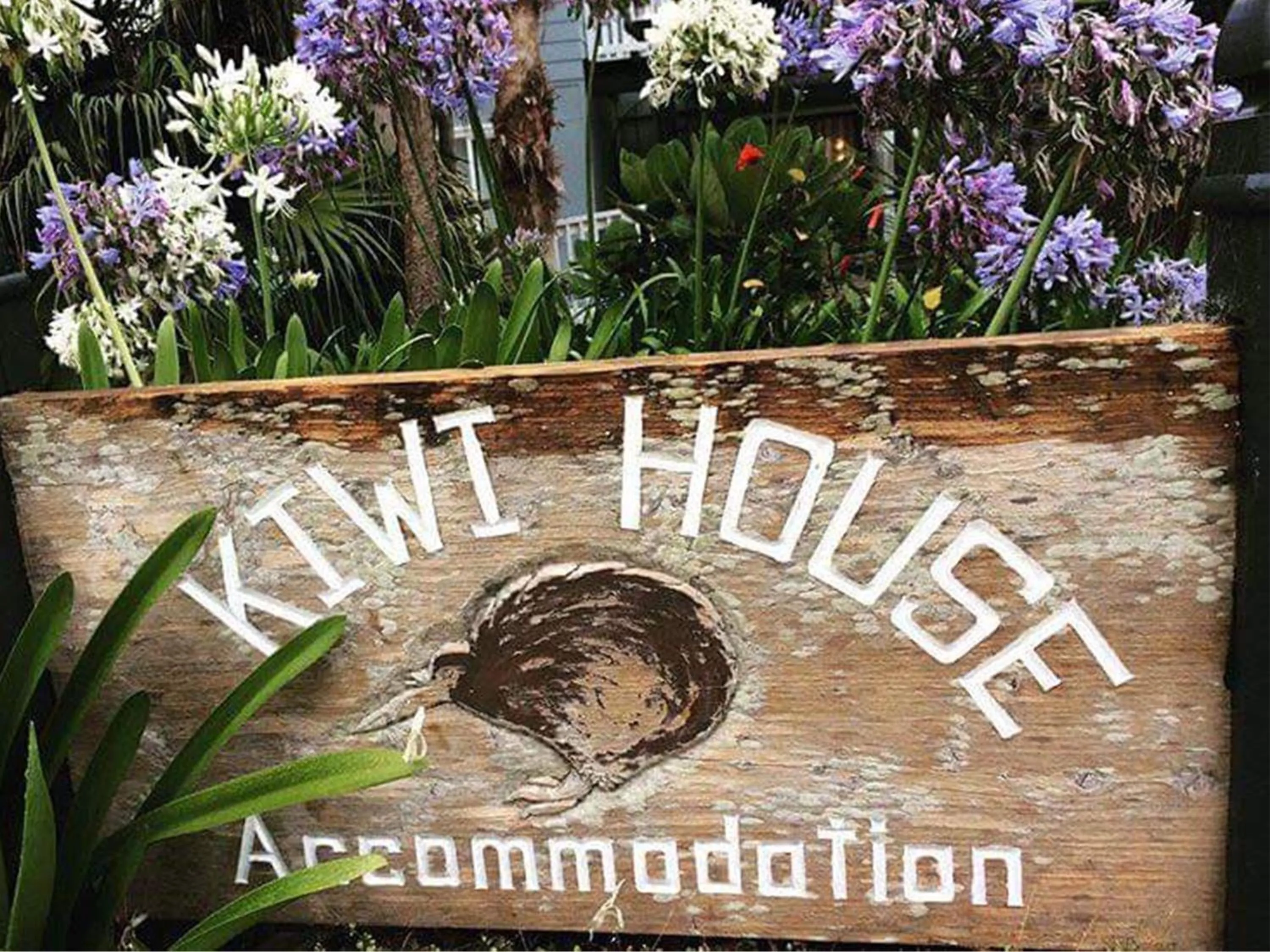Kiwi House Waiheke