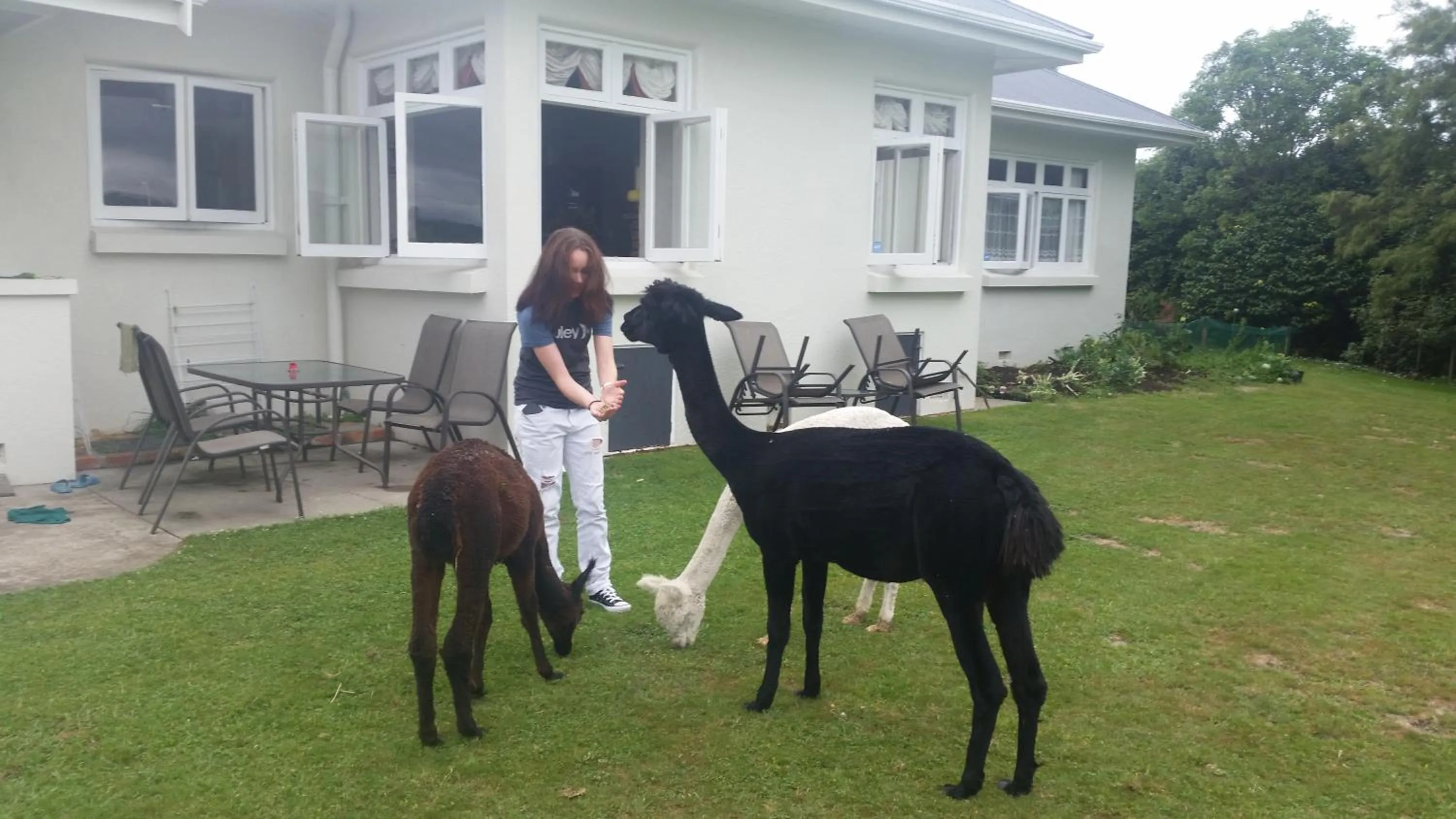 People in Homestead B&B Cambridge