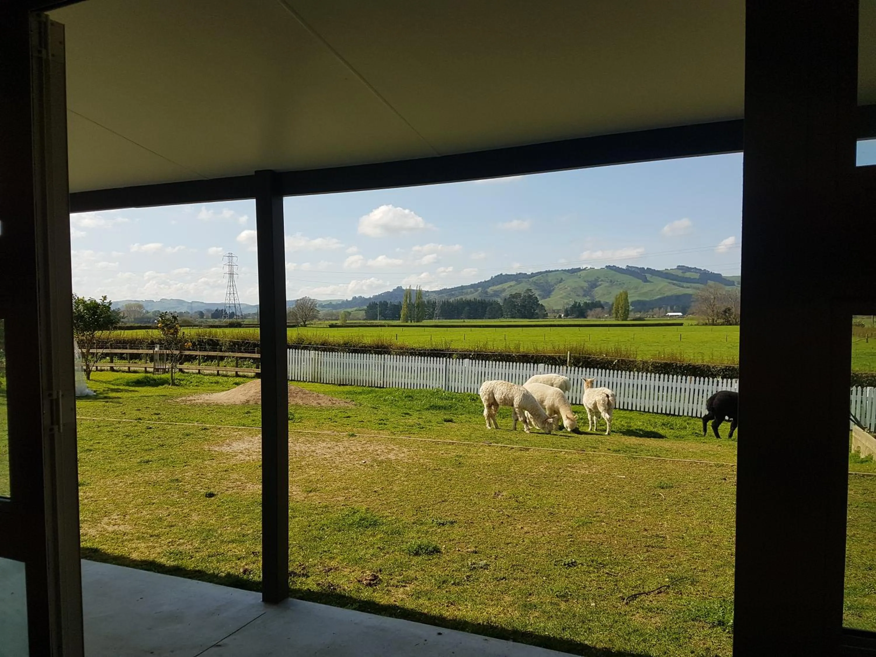 Natural landscape in Homestead B&B Cambridge