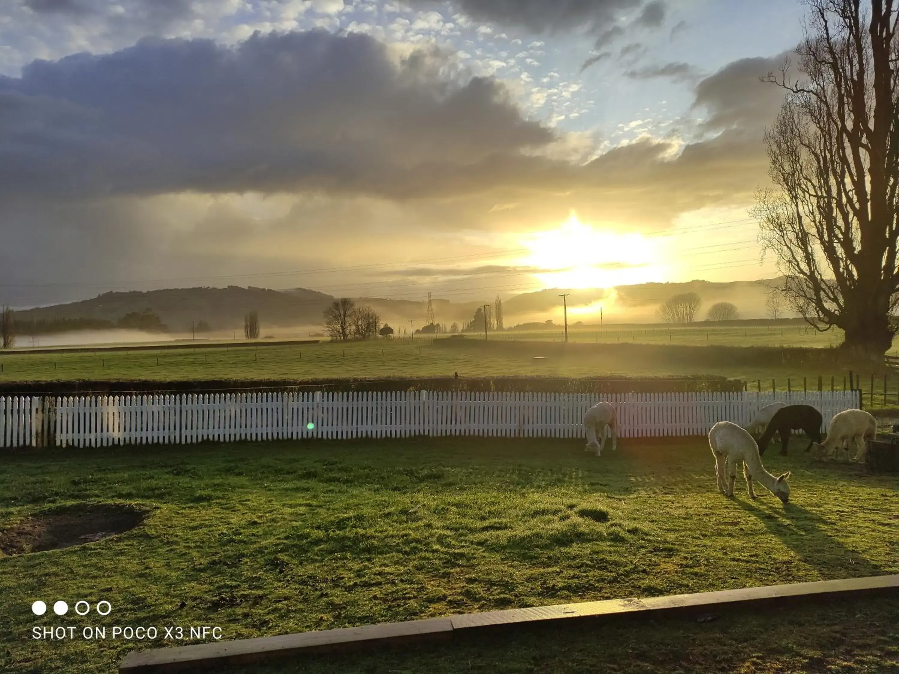 Junior Suite with Mountain View in Homestead B&B Cambridge Junior Suite with Mountain View in Homestead B&B Cambridge