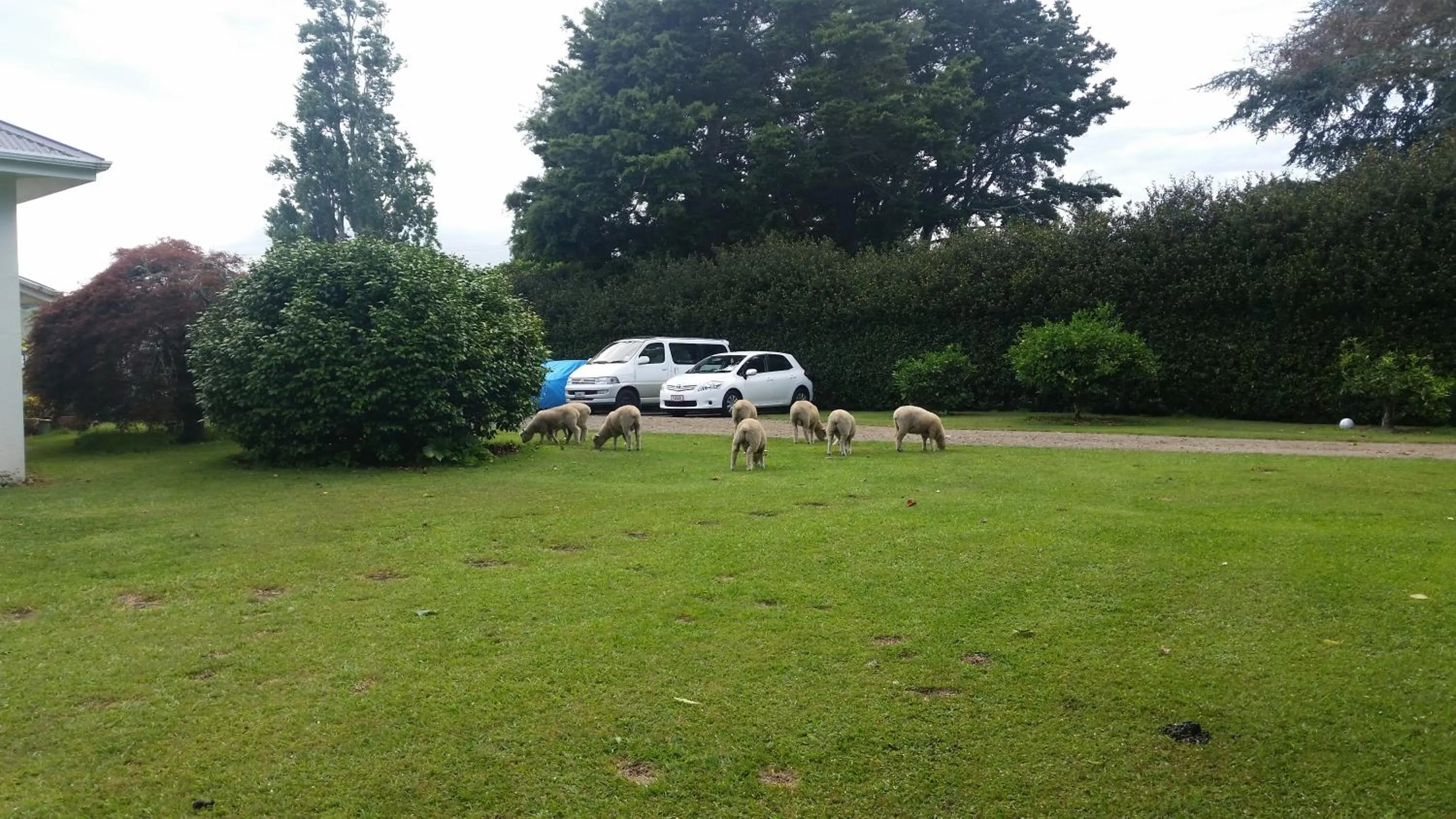 Homestead B&B Cambridge