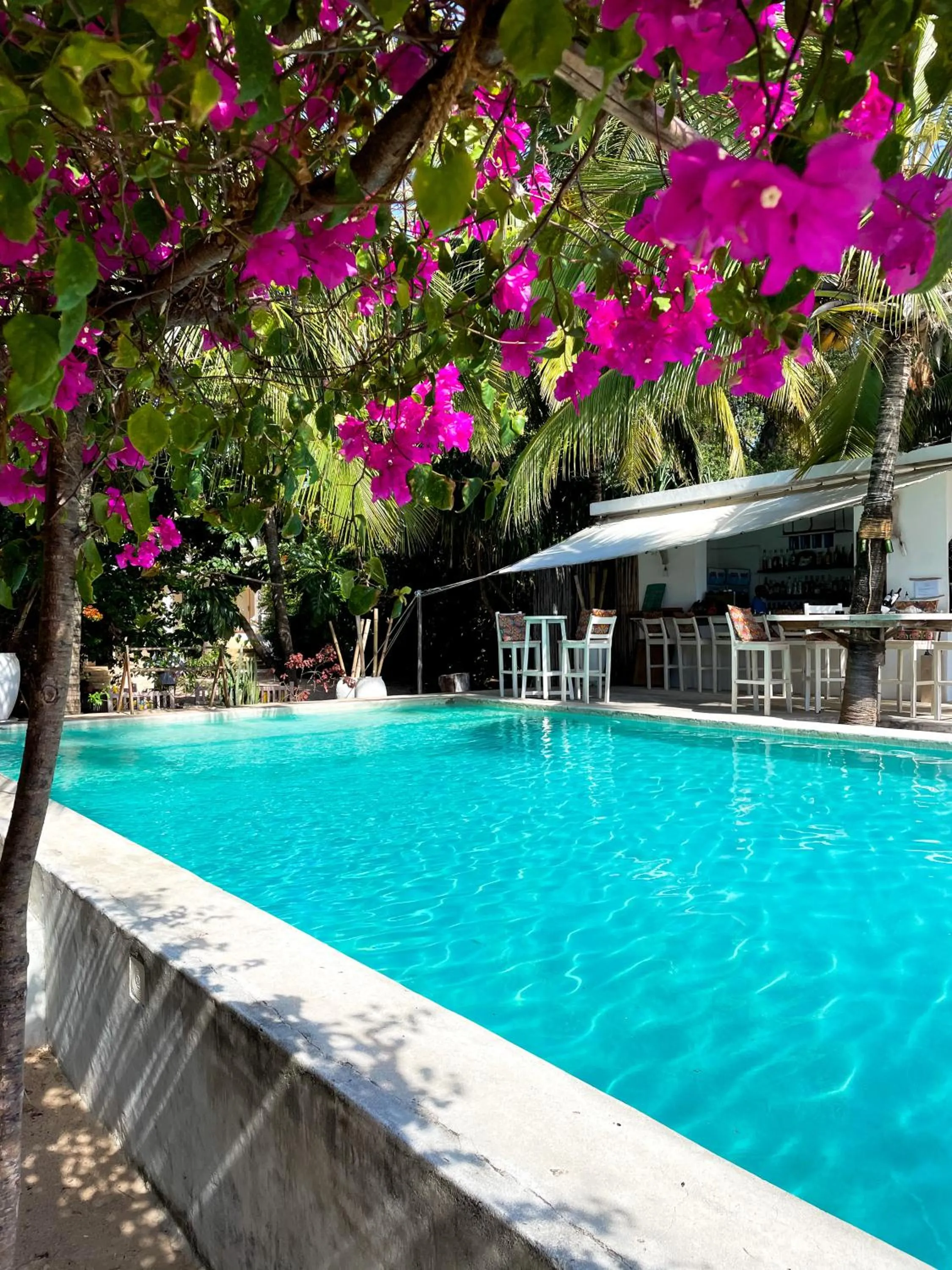 Swimming pool in Sharazad Boutique Hotel