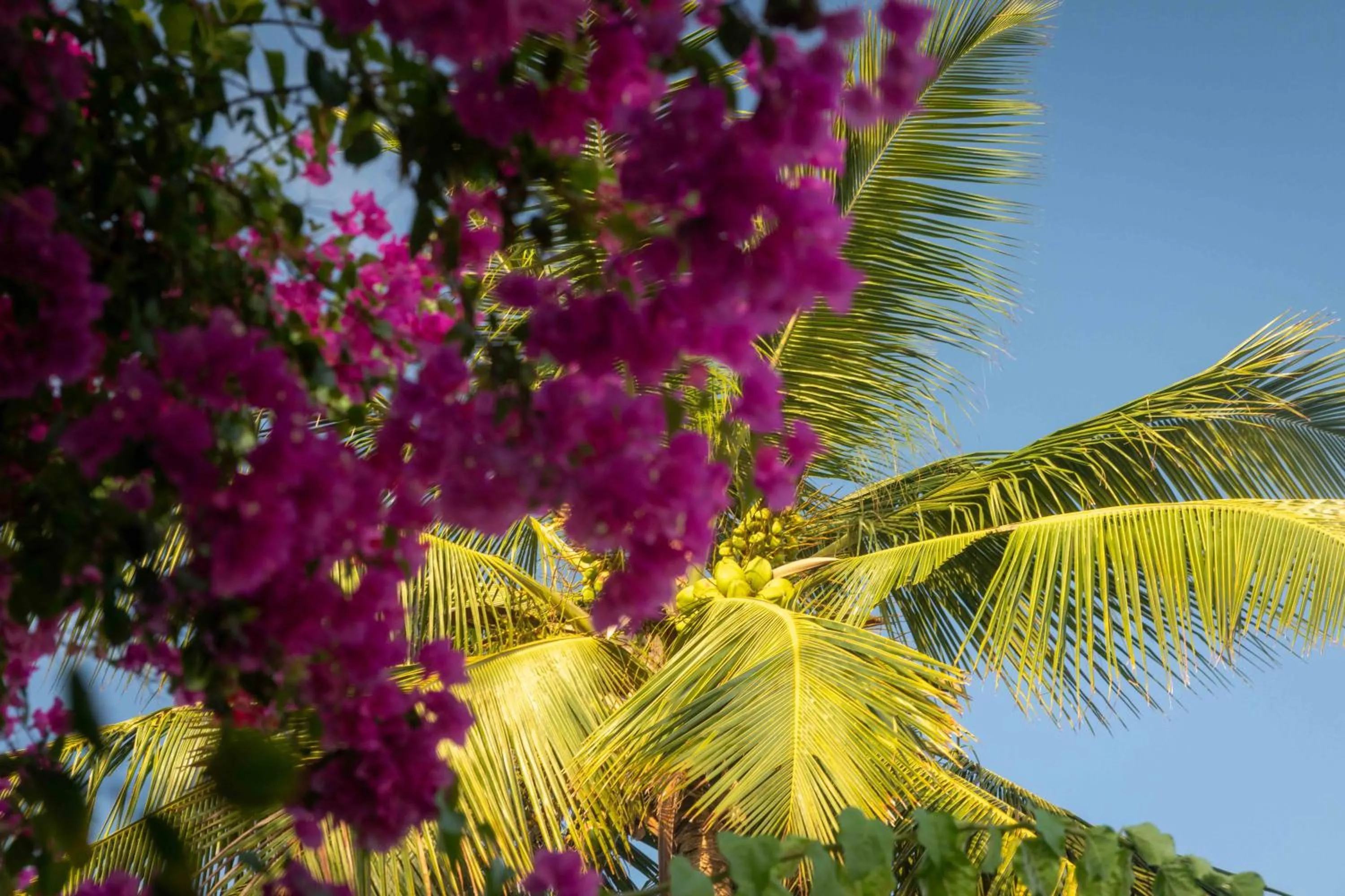 Day in Sharazad Boutique Hotel