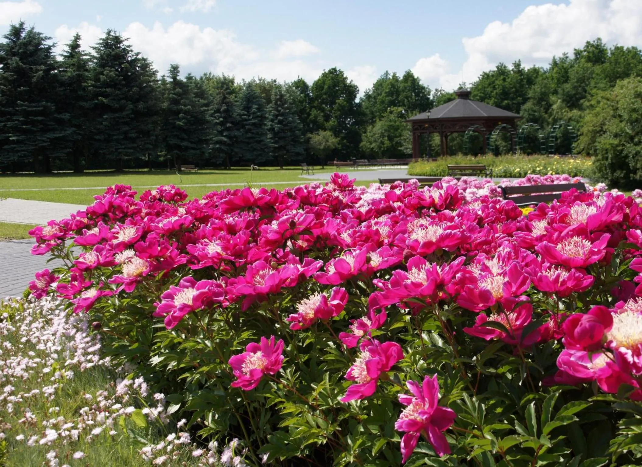 Activities in Hotel Park