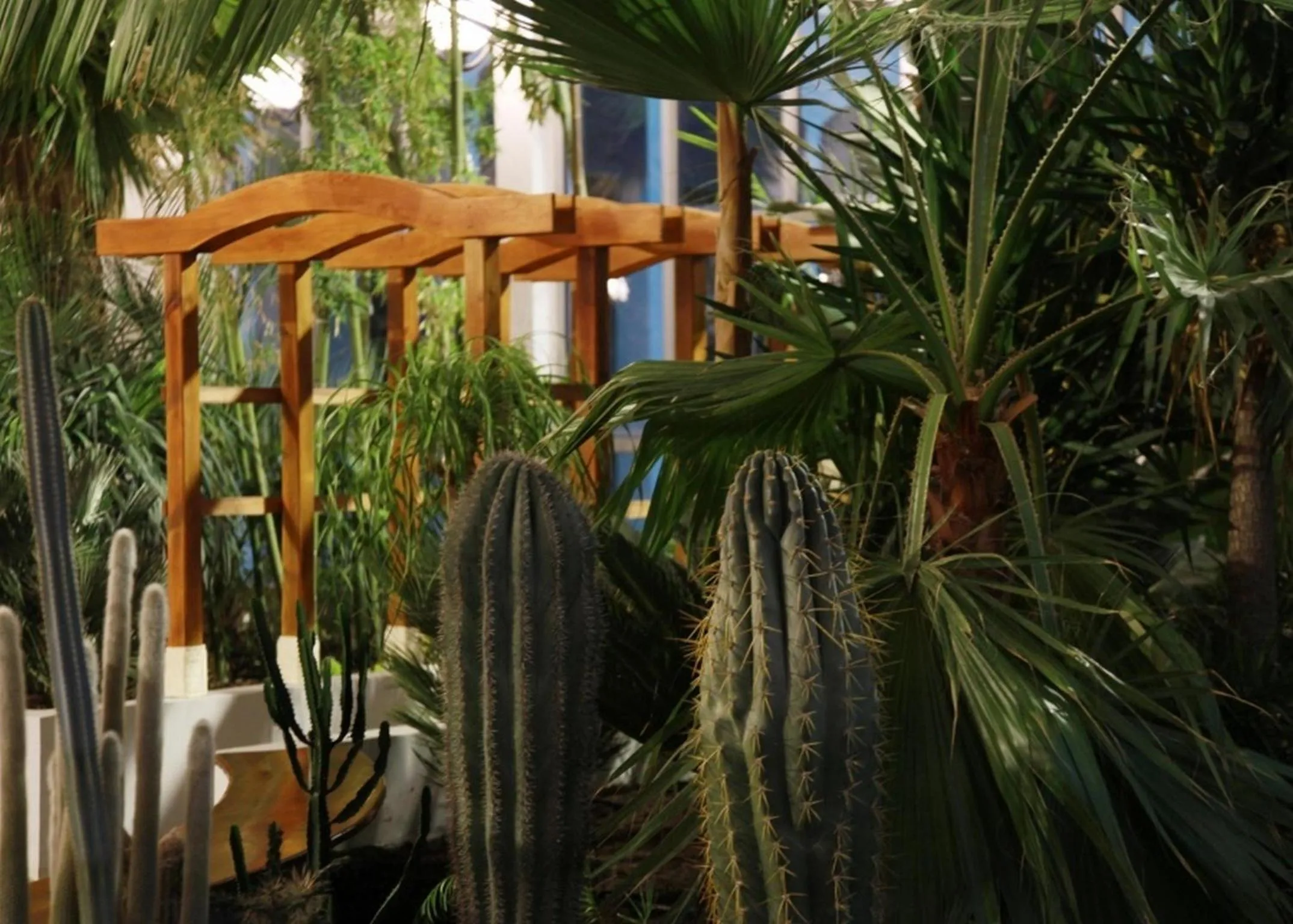 Activities in Hotel Park