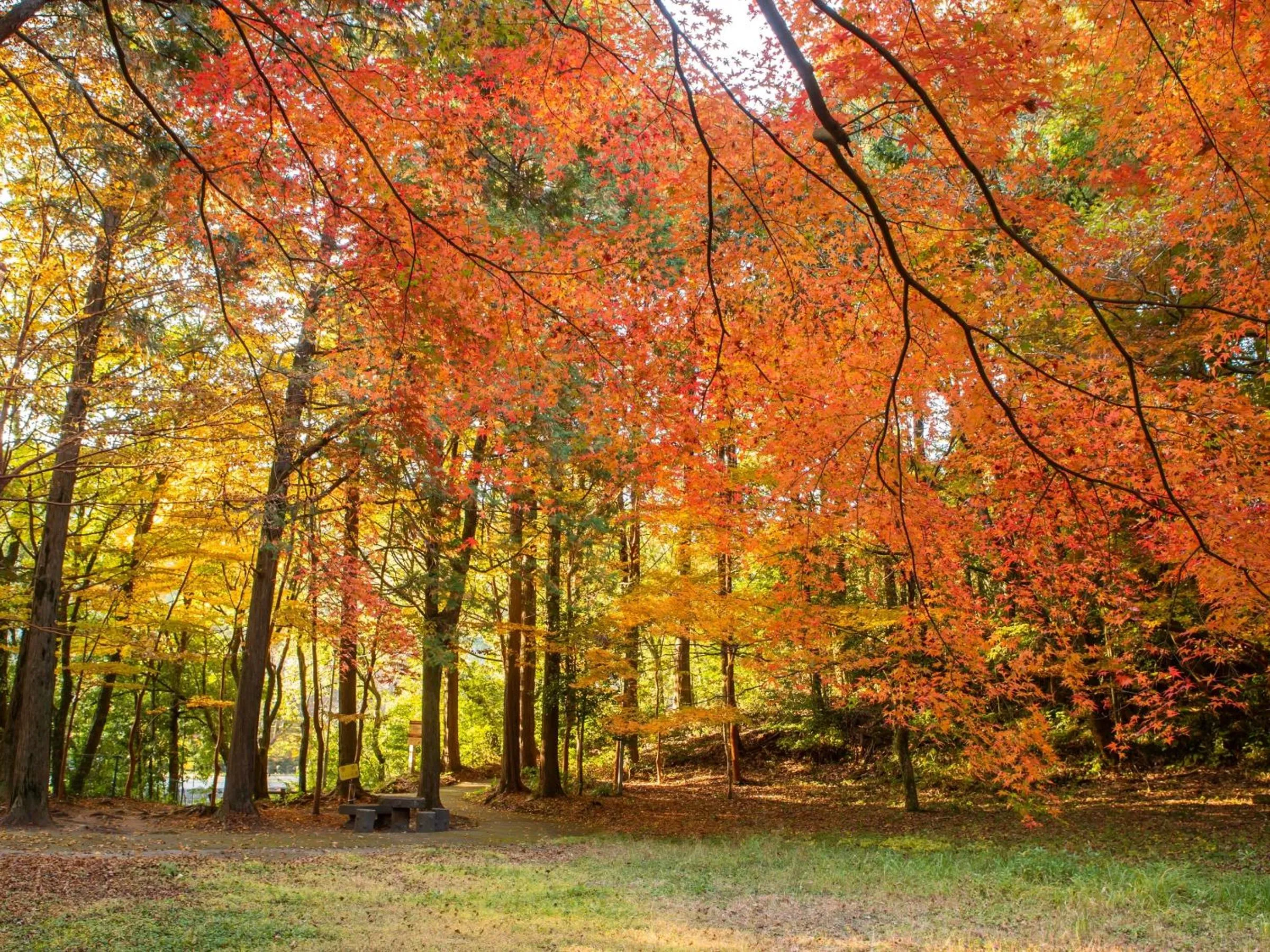 Day in Vessel Hotel Miyakonojo