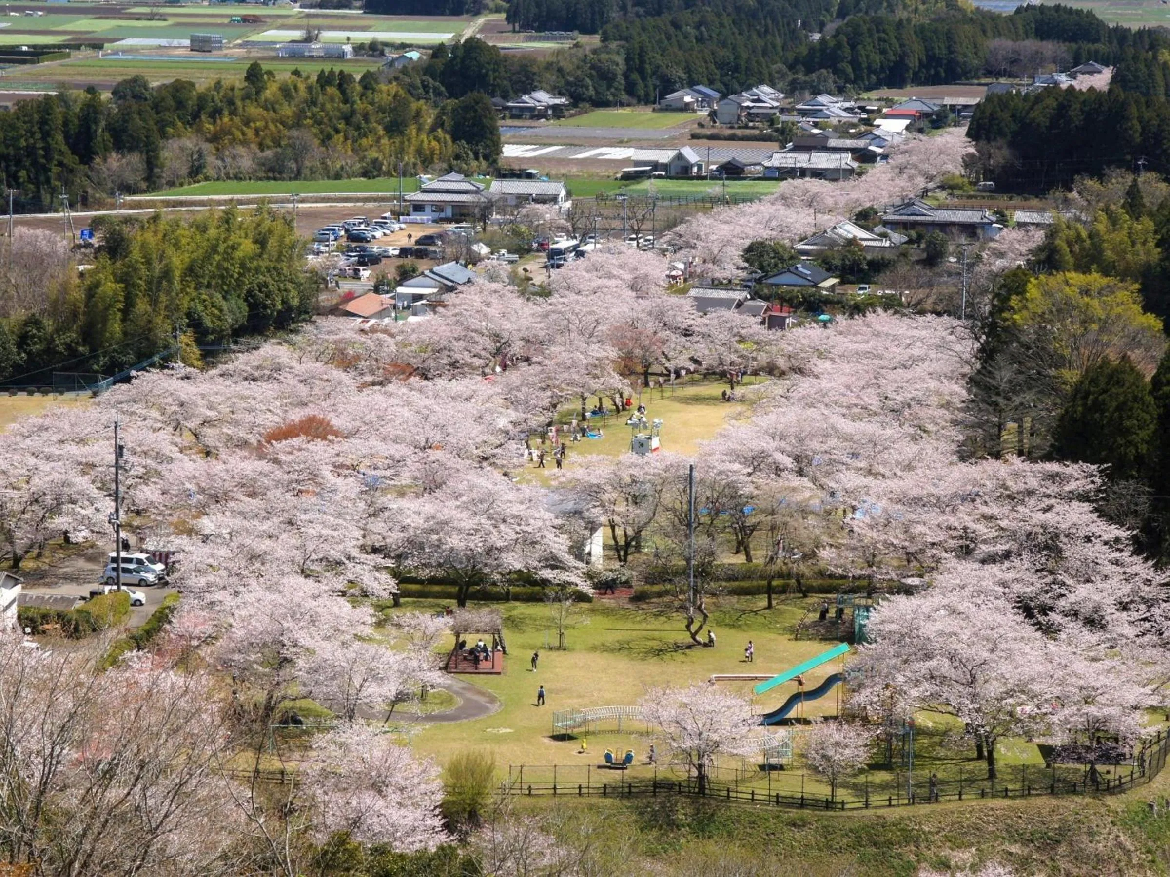 Spring in Vessel Hotel Miyakonojo