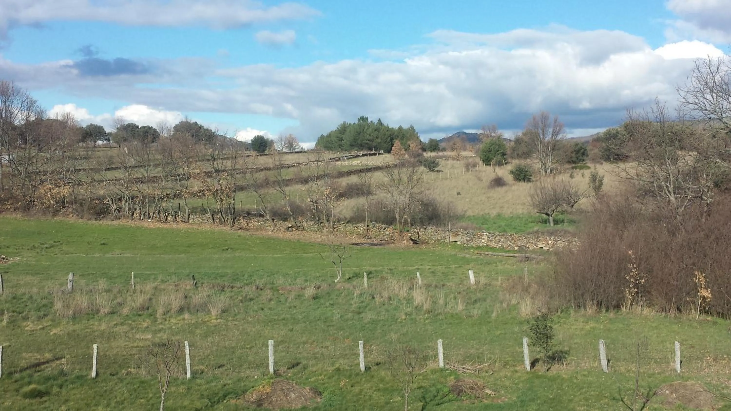 Day in Apartamentos Rio Almar