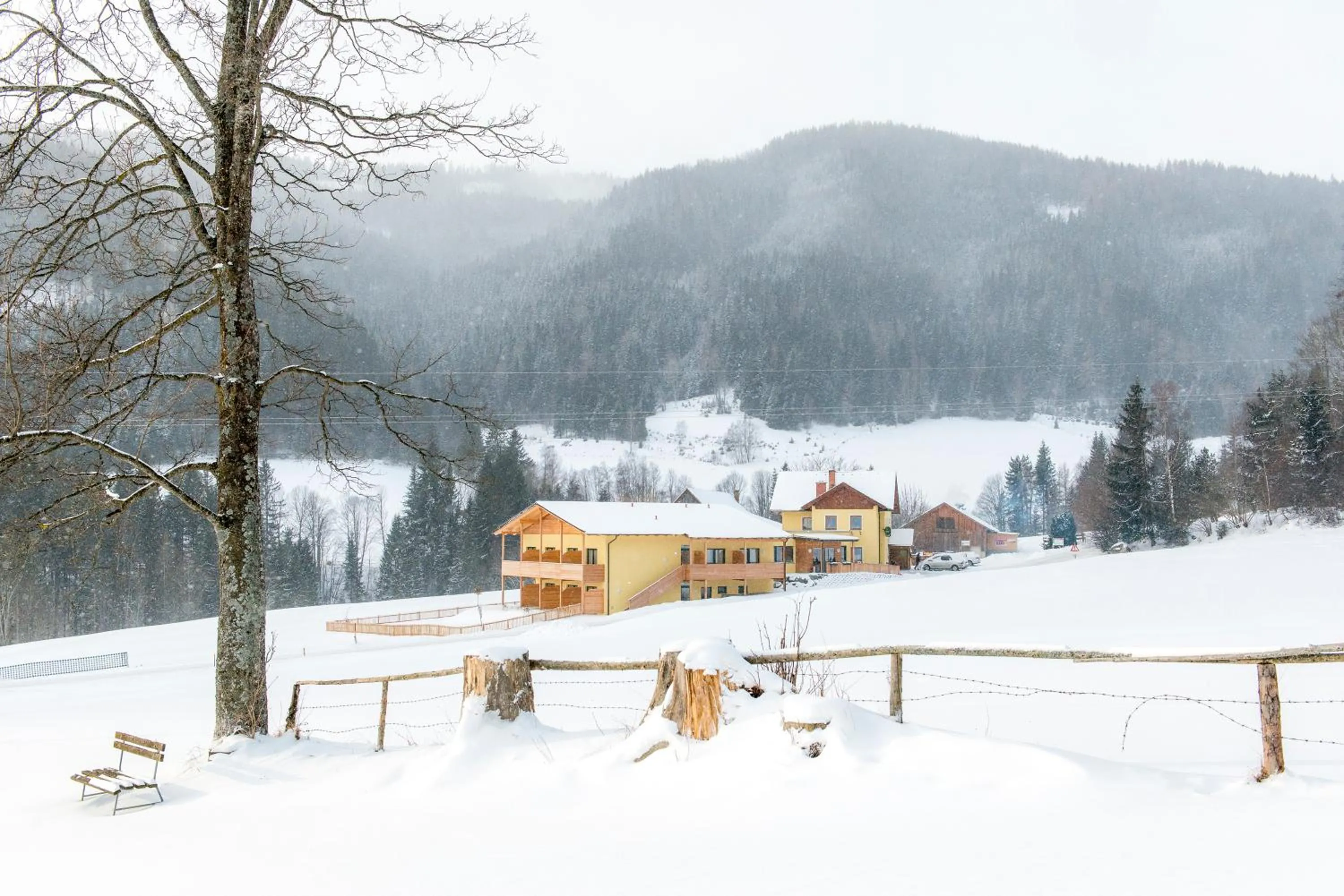 Property building in Gasthof Wachter