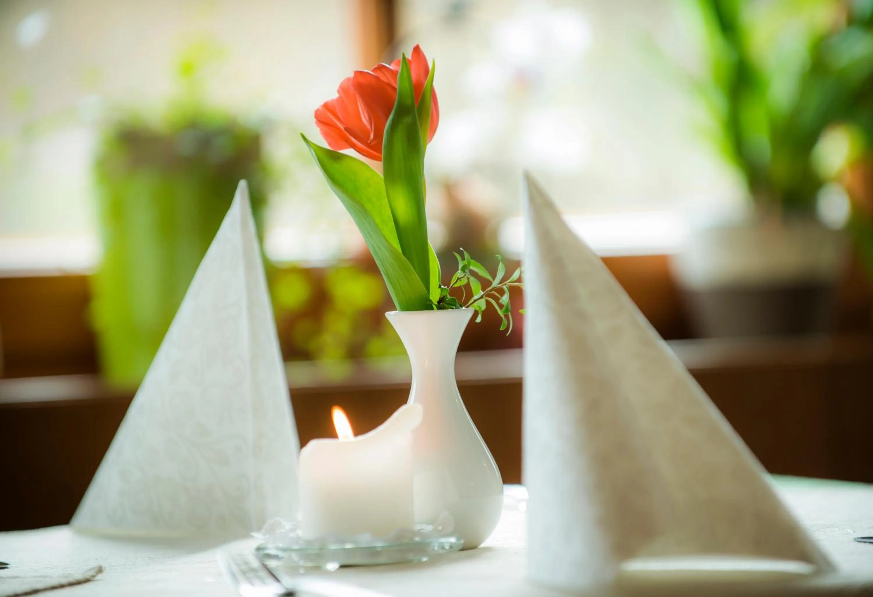 Restaurant/places to eat in Gasthof Wachter