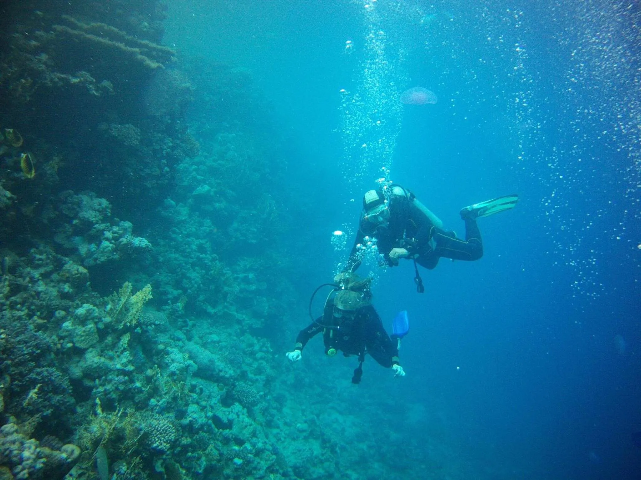 Diving in Falcon Hills Hotel