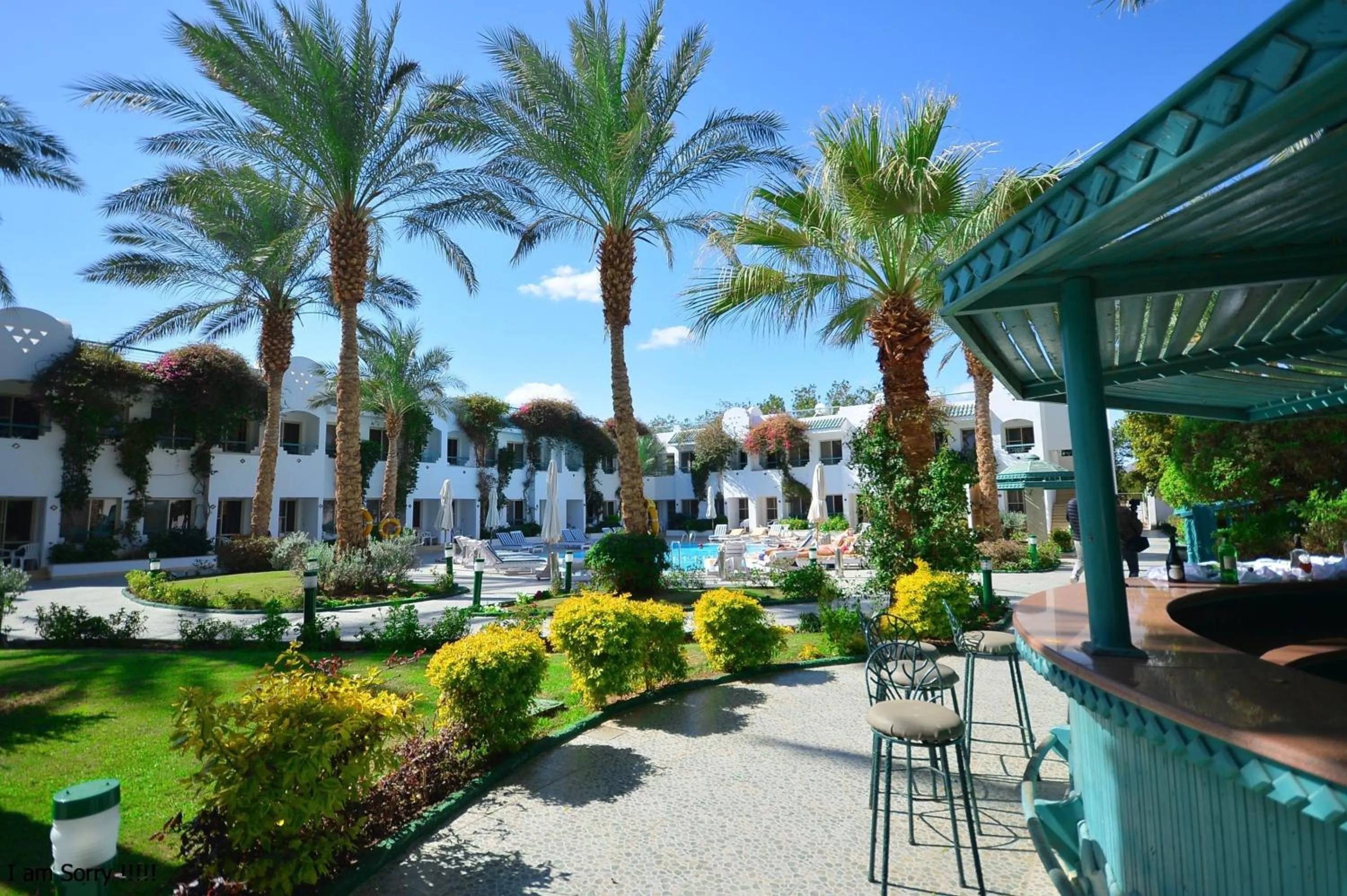 Garden in Falcon Hills Hotel