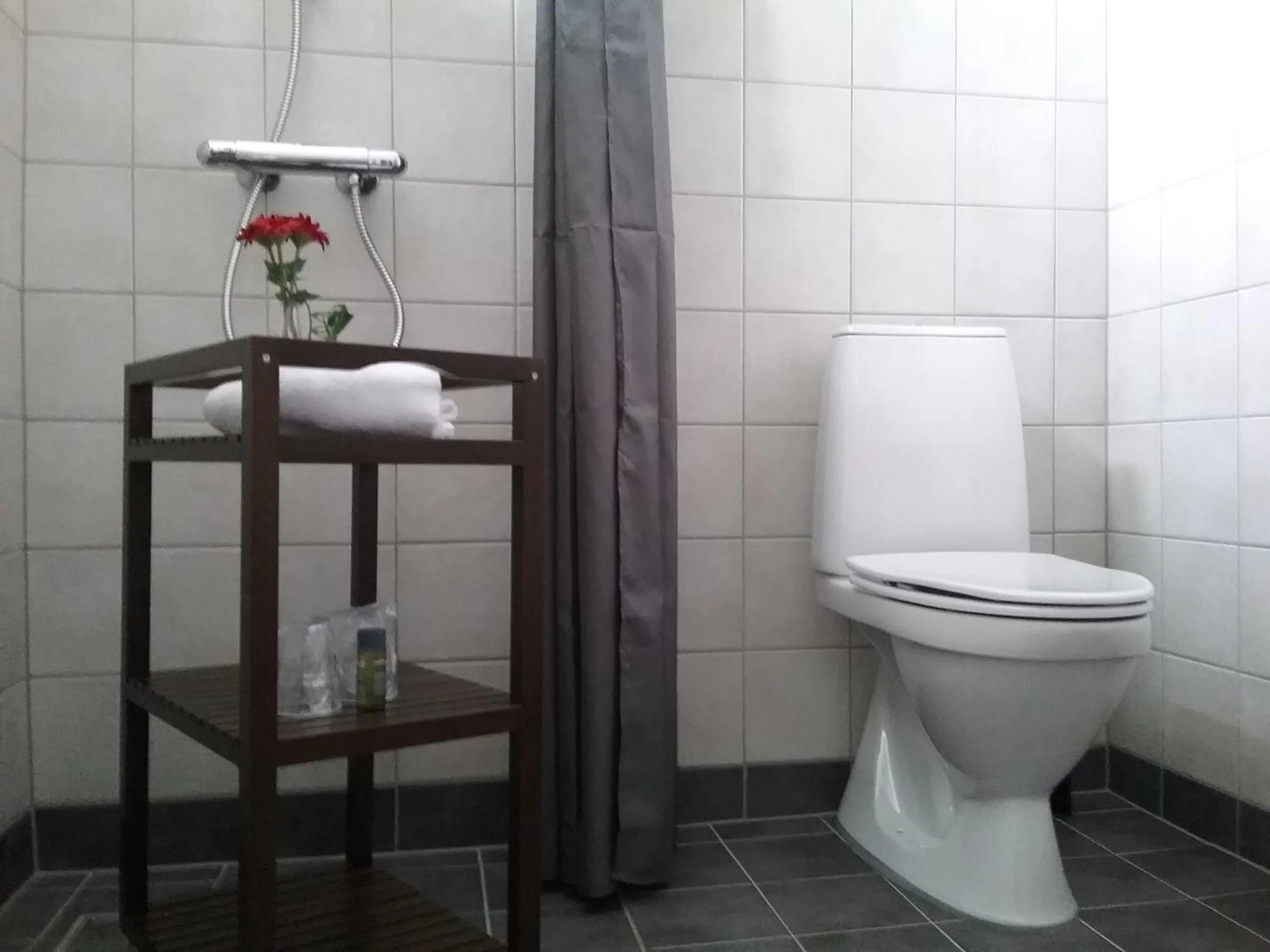 Toilet in Hals Hotel