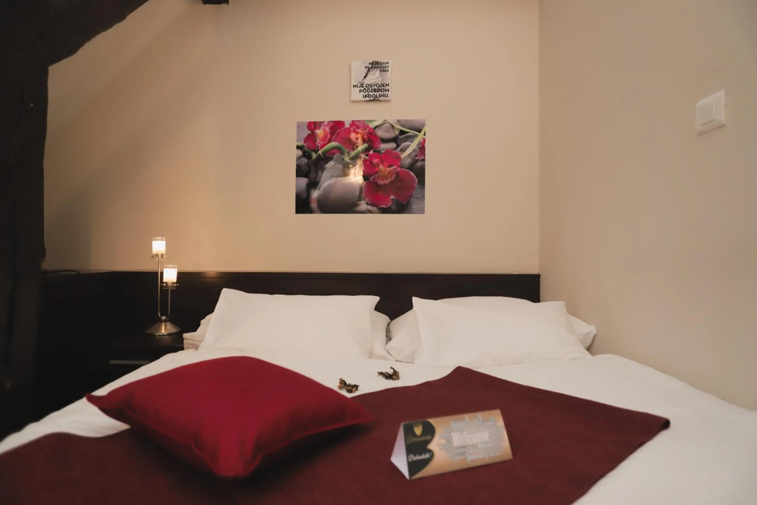 Single Room - single occupancy in Sobe Bernarda