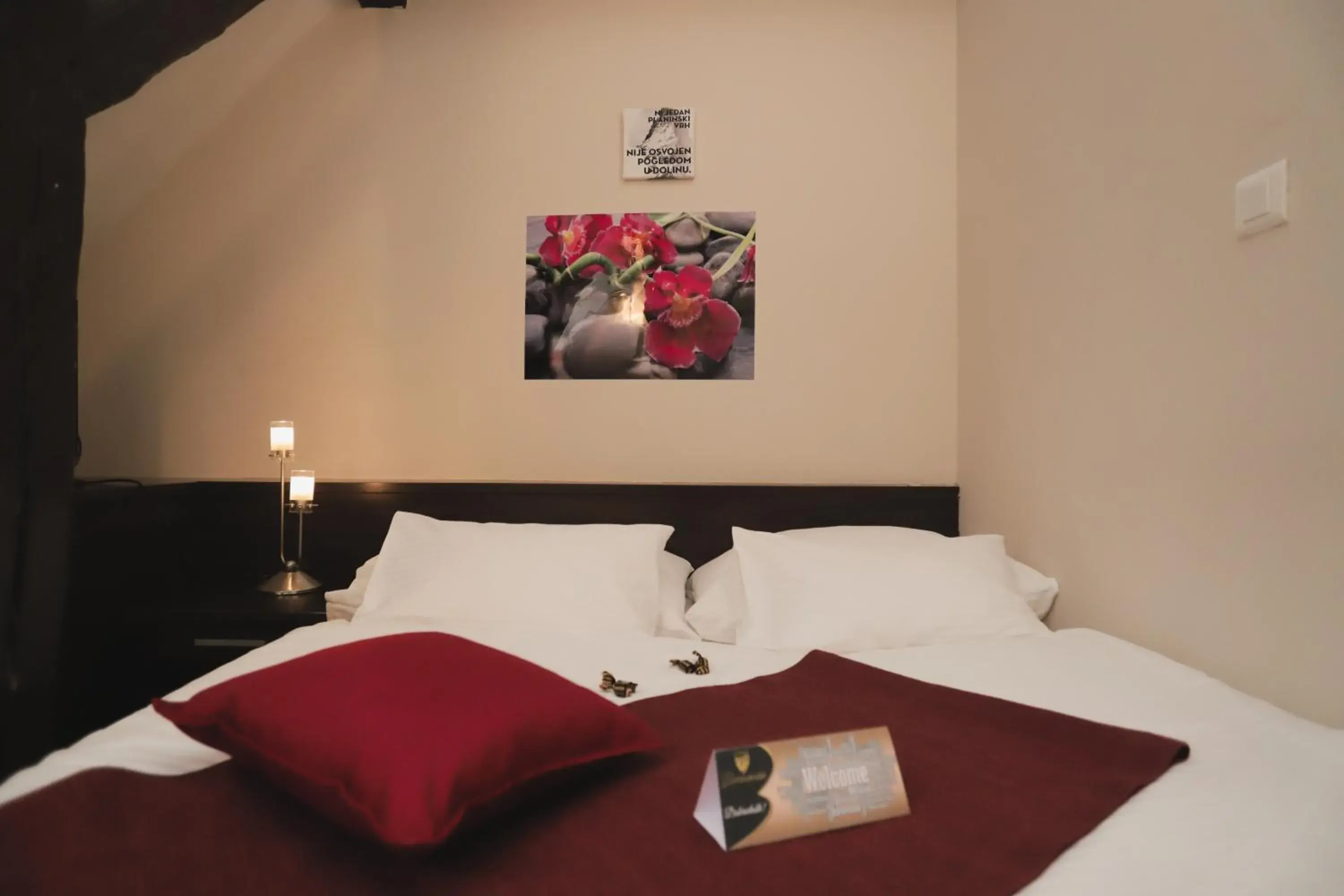 Single Room - single occupancy in Sobe Bernarda Single Room - single occupancy in Sobe Bernarda