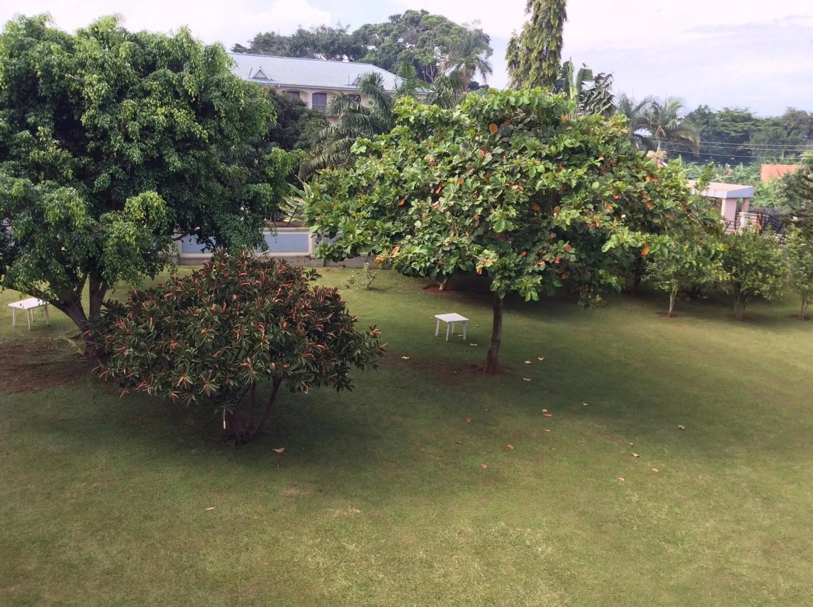 Garden view in Skyway Hotel
