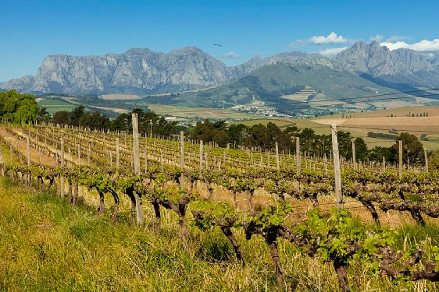 Spring in Domaine Coutelier