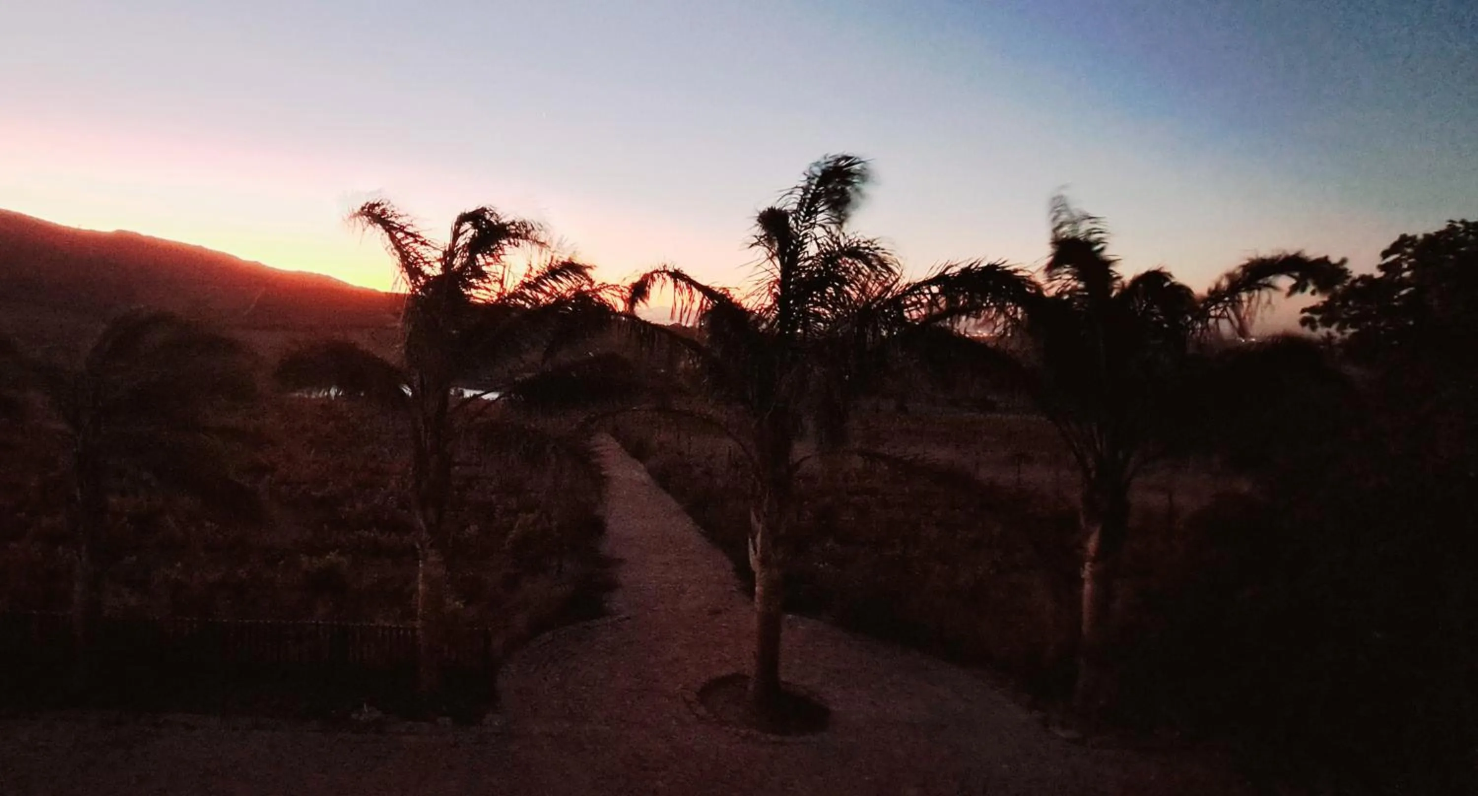 Bird's eye view in Domaine Coutelier