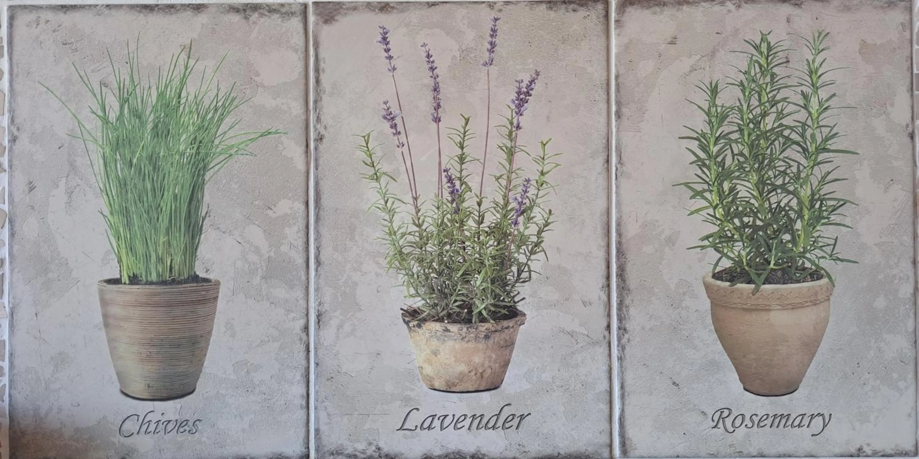 Decorative detail in Domaine Coutelier