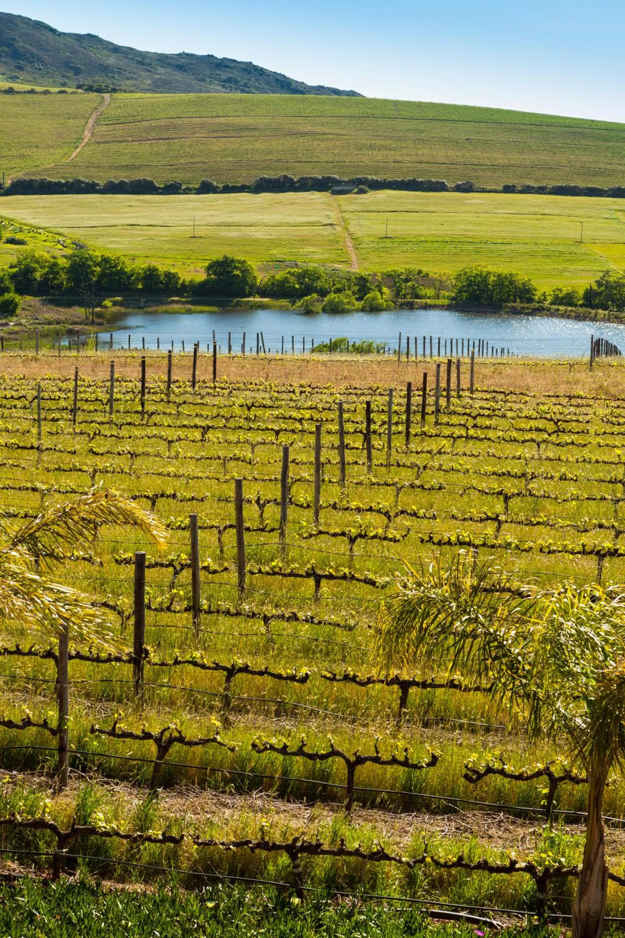 View (from property/room) in Domaine Coutelier
