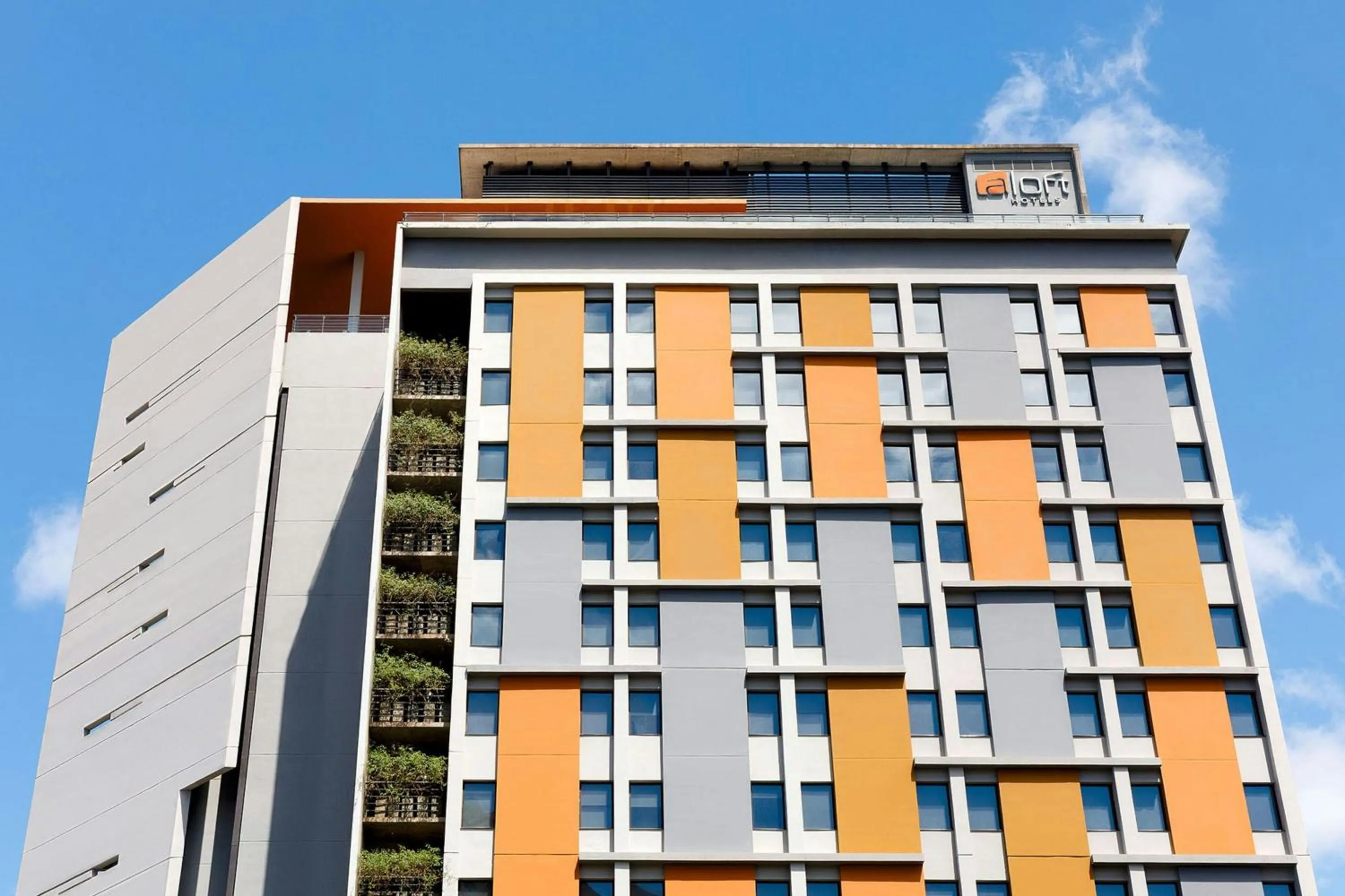 View (from property/room) in Aloft Asuncion