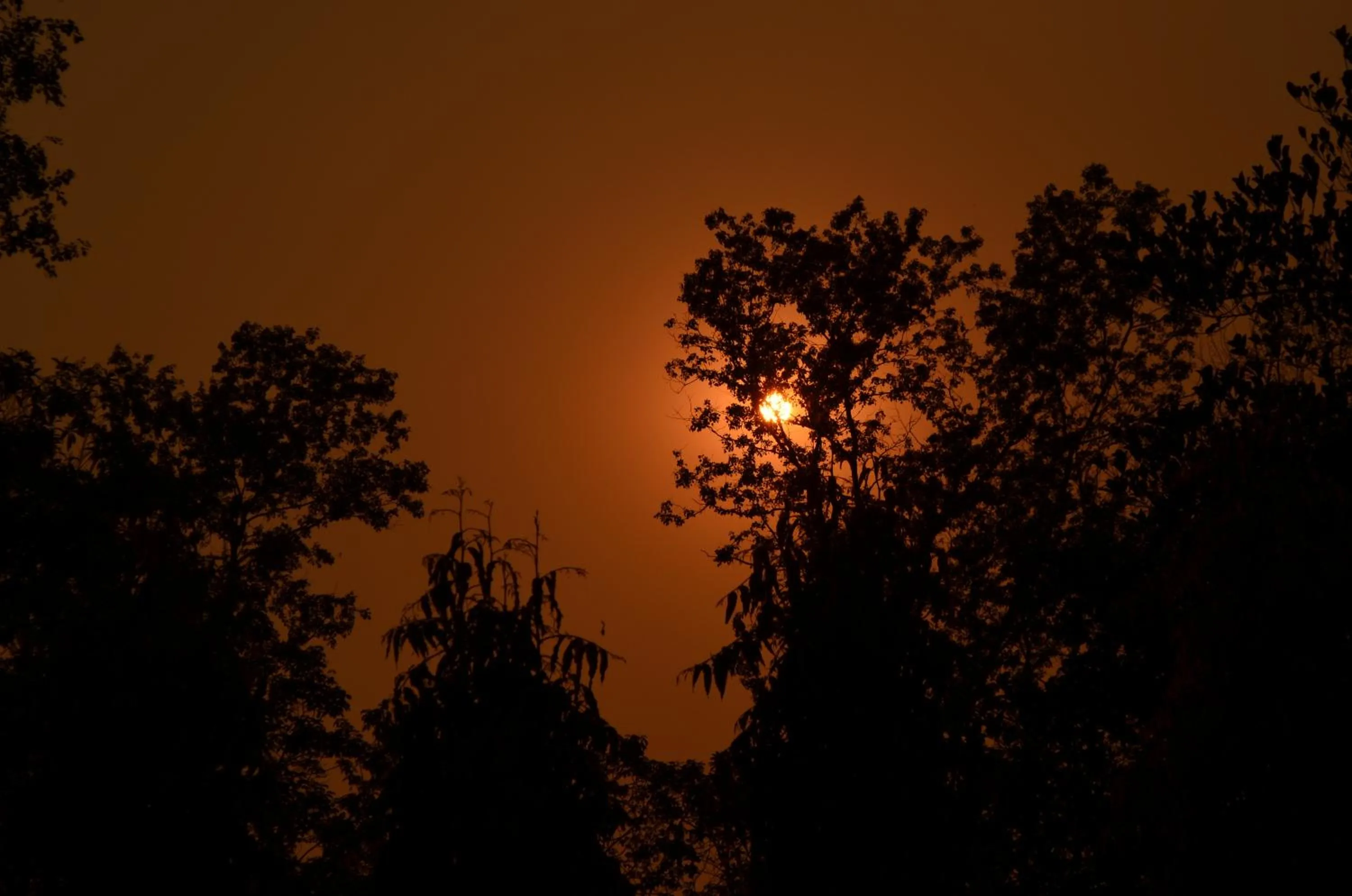 Evening entertainment in Kathmandu Sunny Hotel