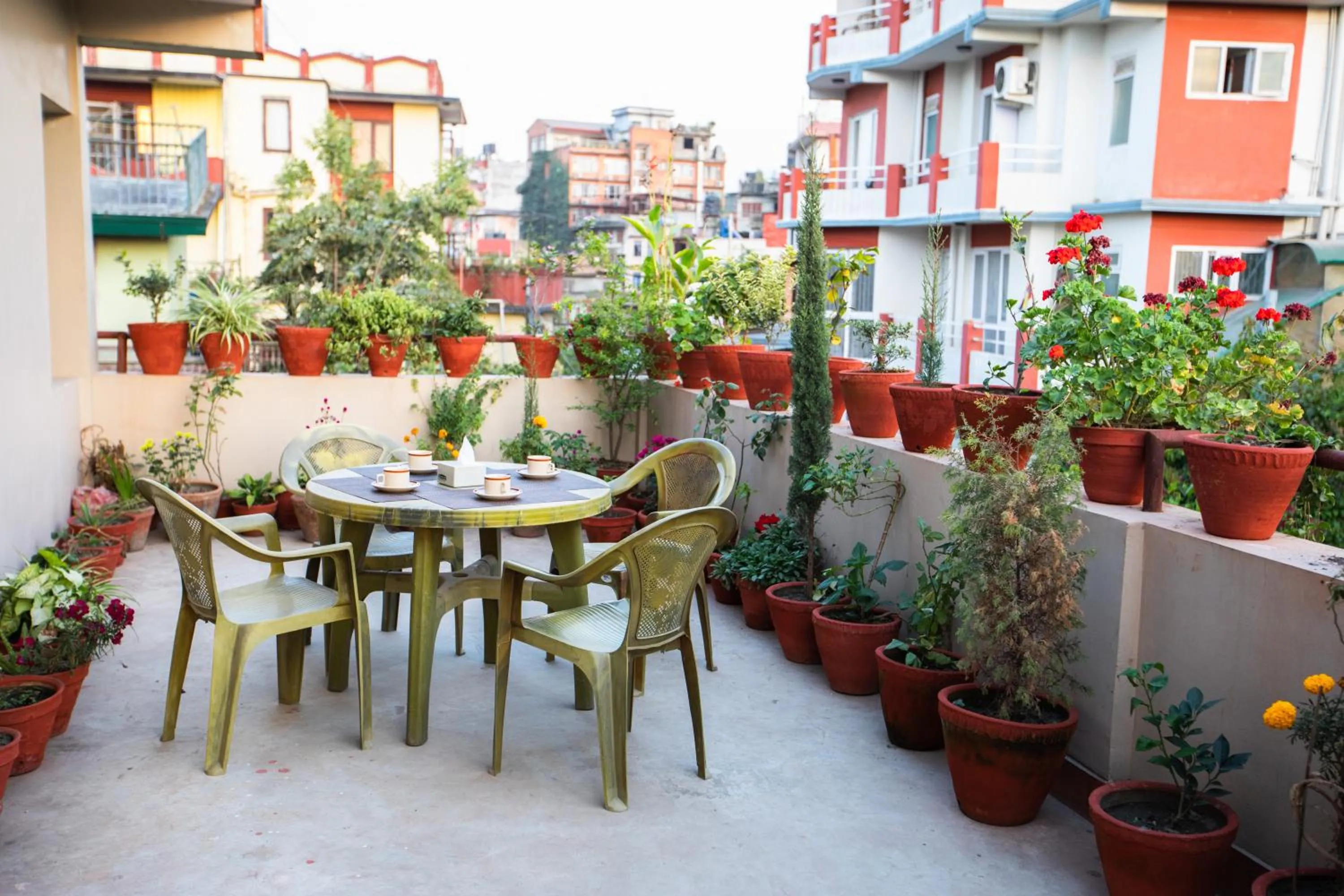 Garden in Kathmandu Sunny Hotel
