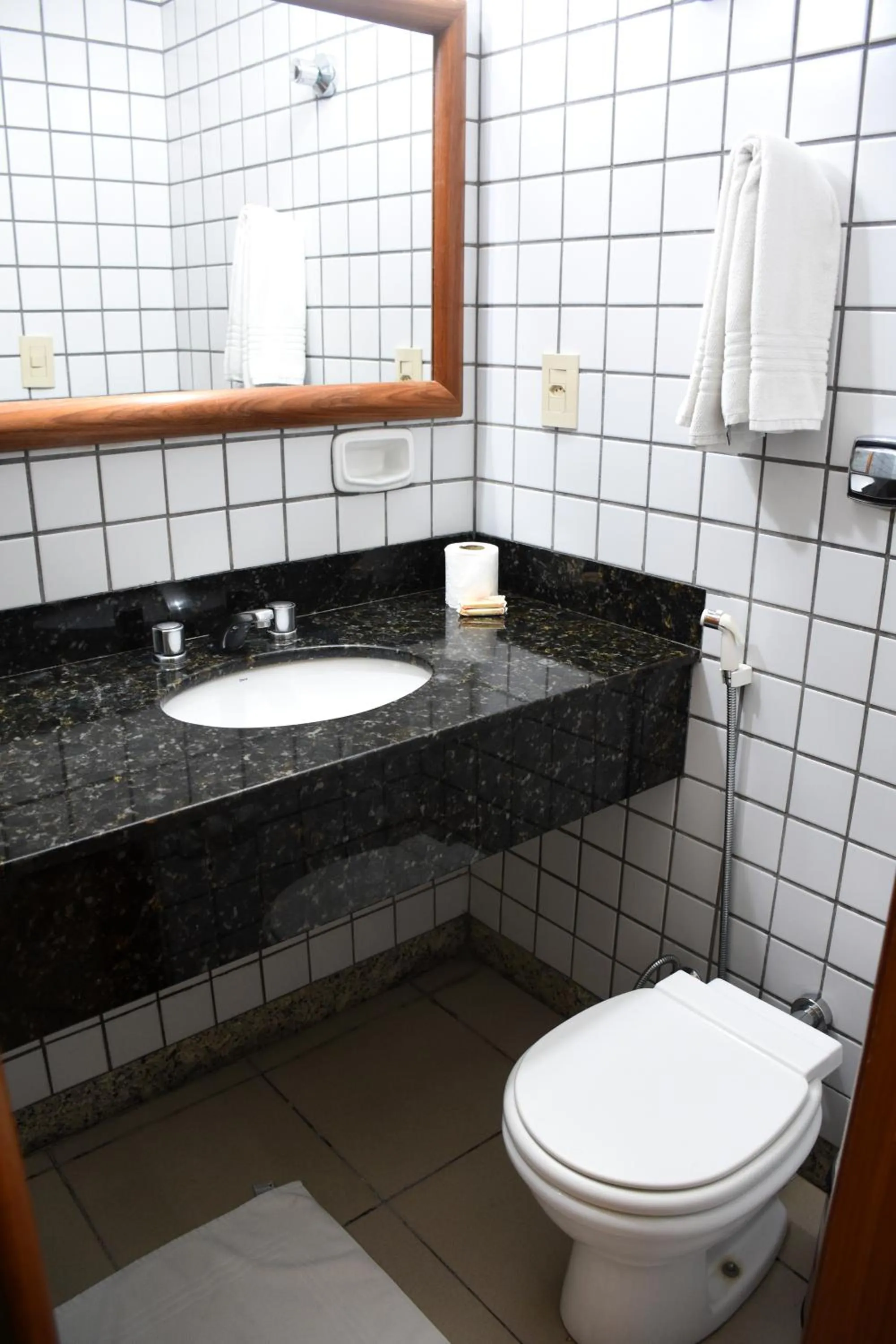 Toilet in Hotel Grão Para