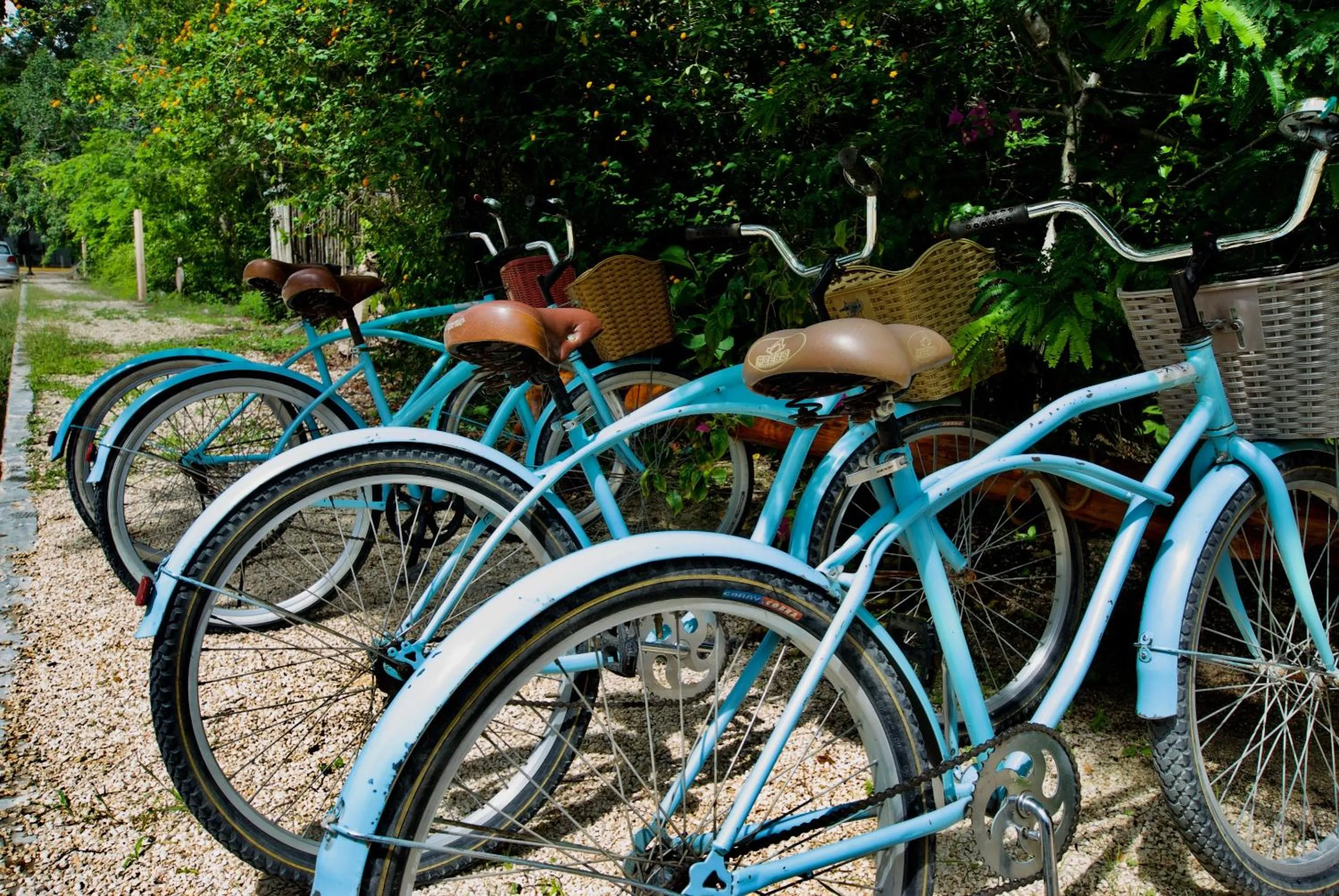 Activities in Hotel Tiki Tiki Tulum