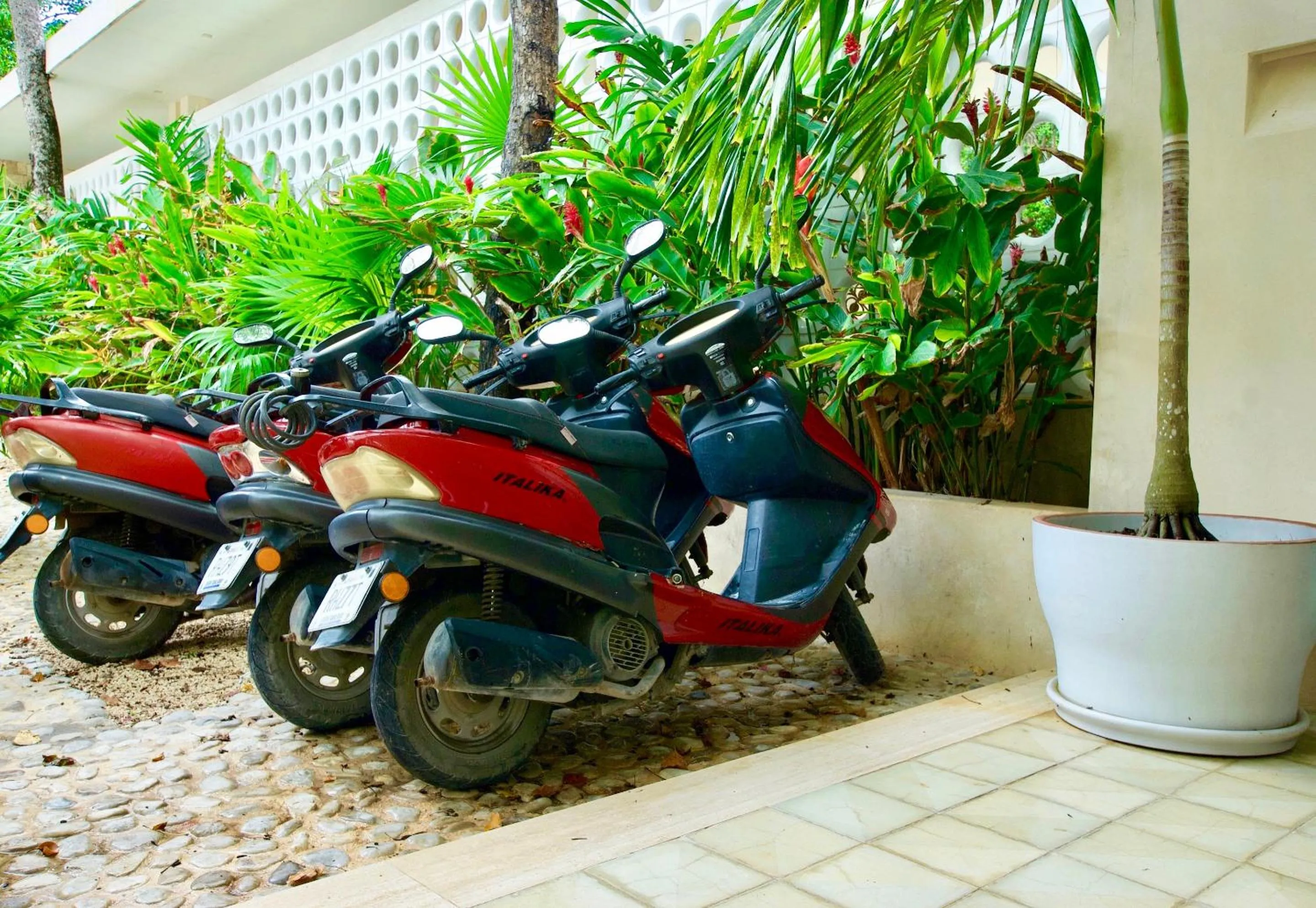 Activities in Hotel Tiki Tiki Tulum