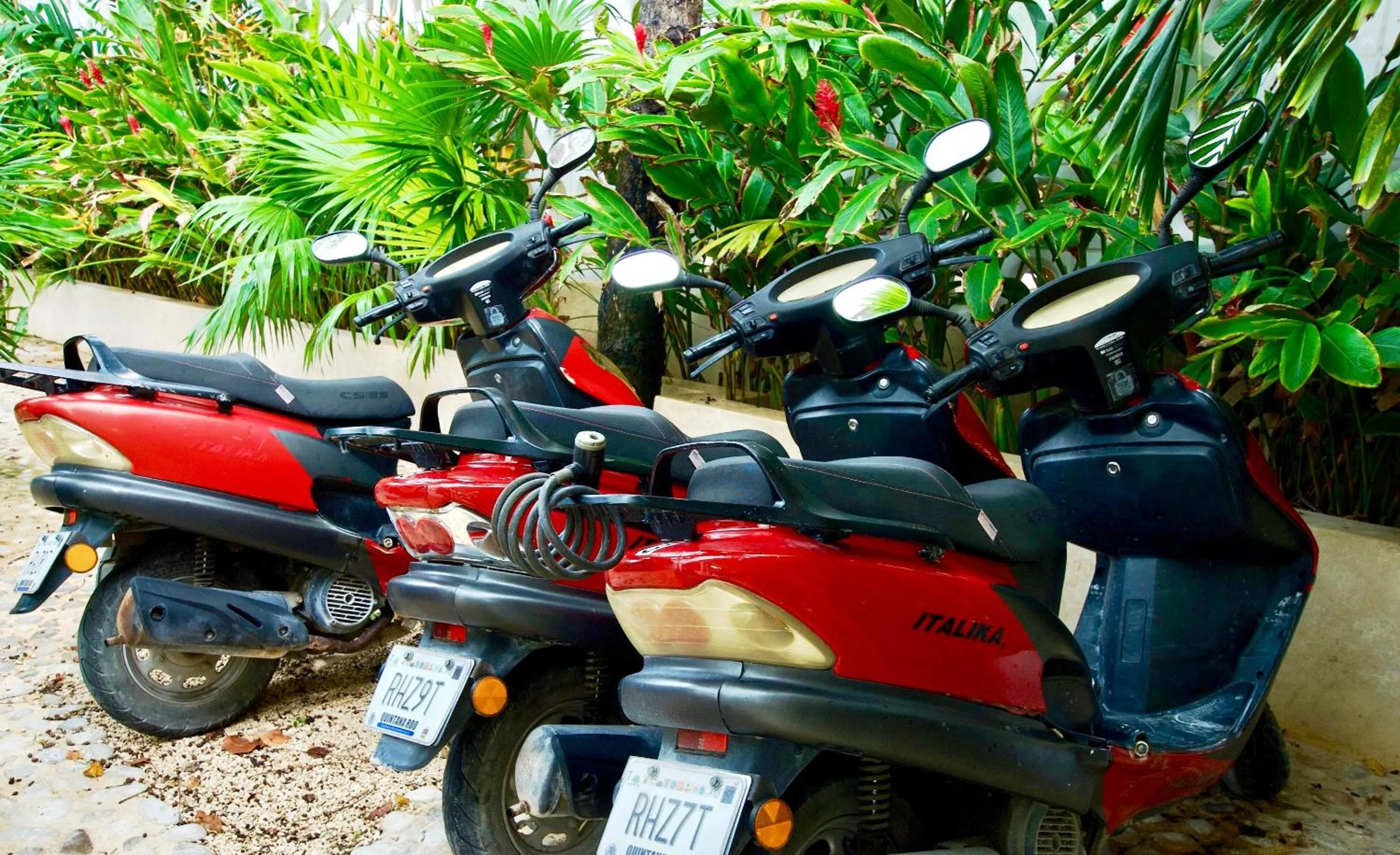 Activities in Hotel Tiki Tiki Tulum