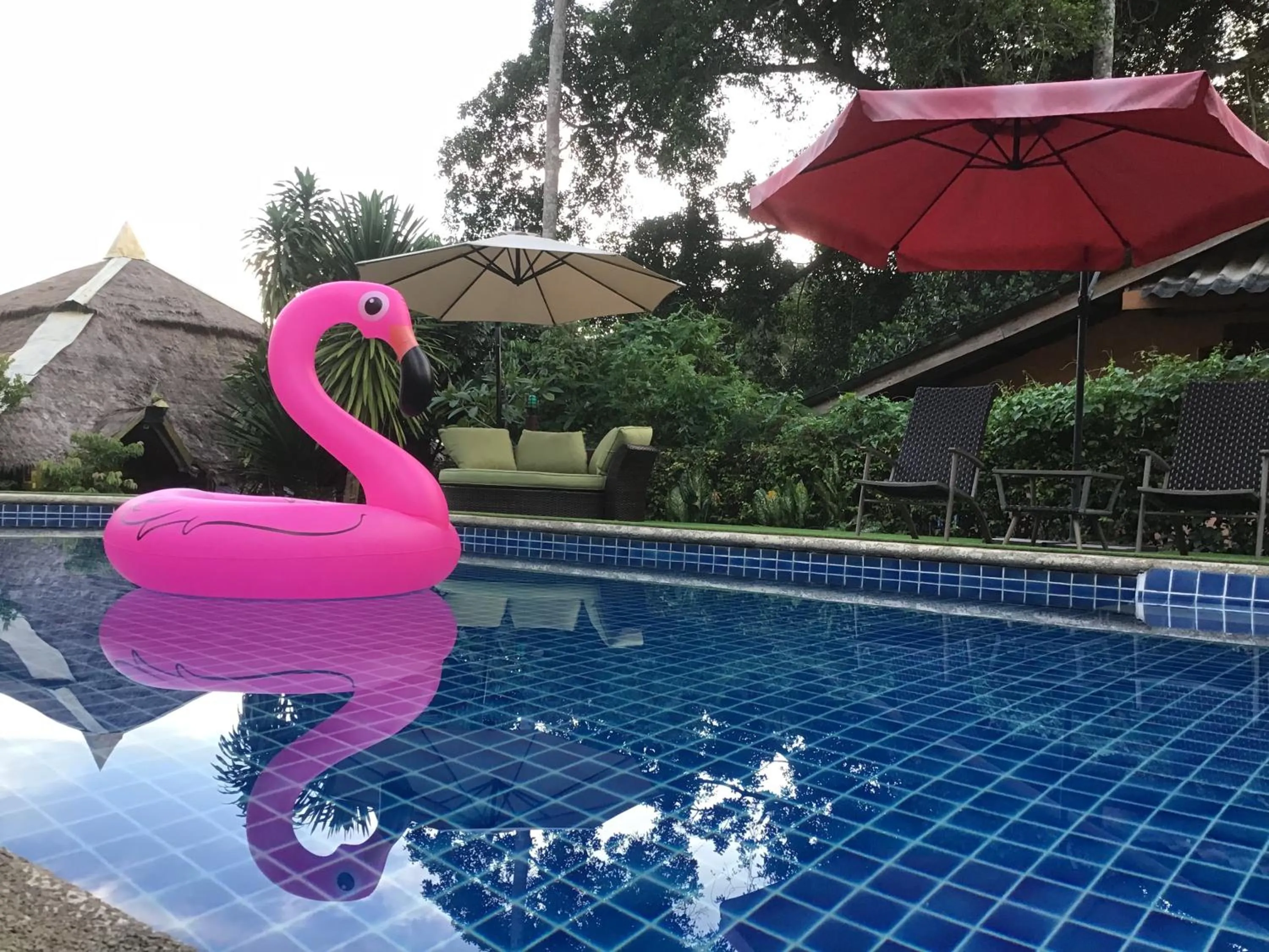 Pool view in Grand Tree