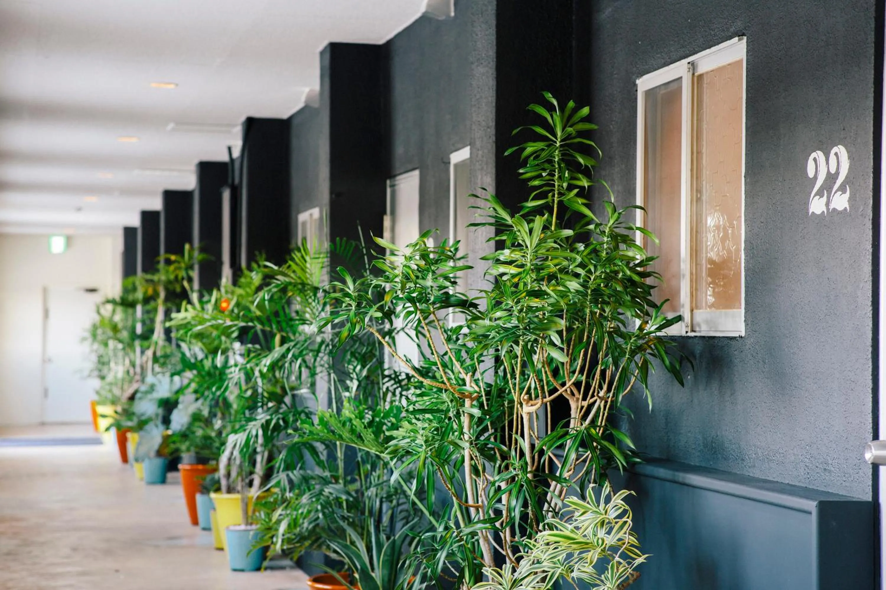 Decorative detail in Spice Motel Okinawa