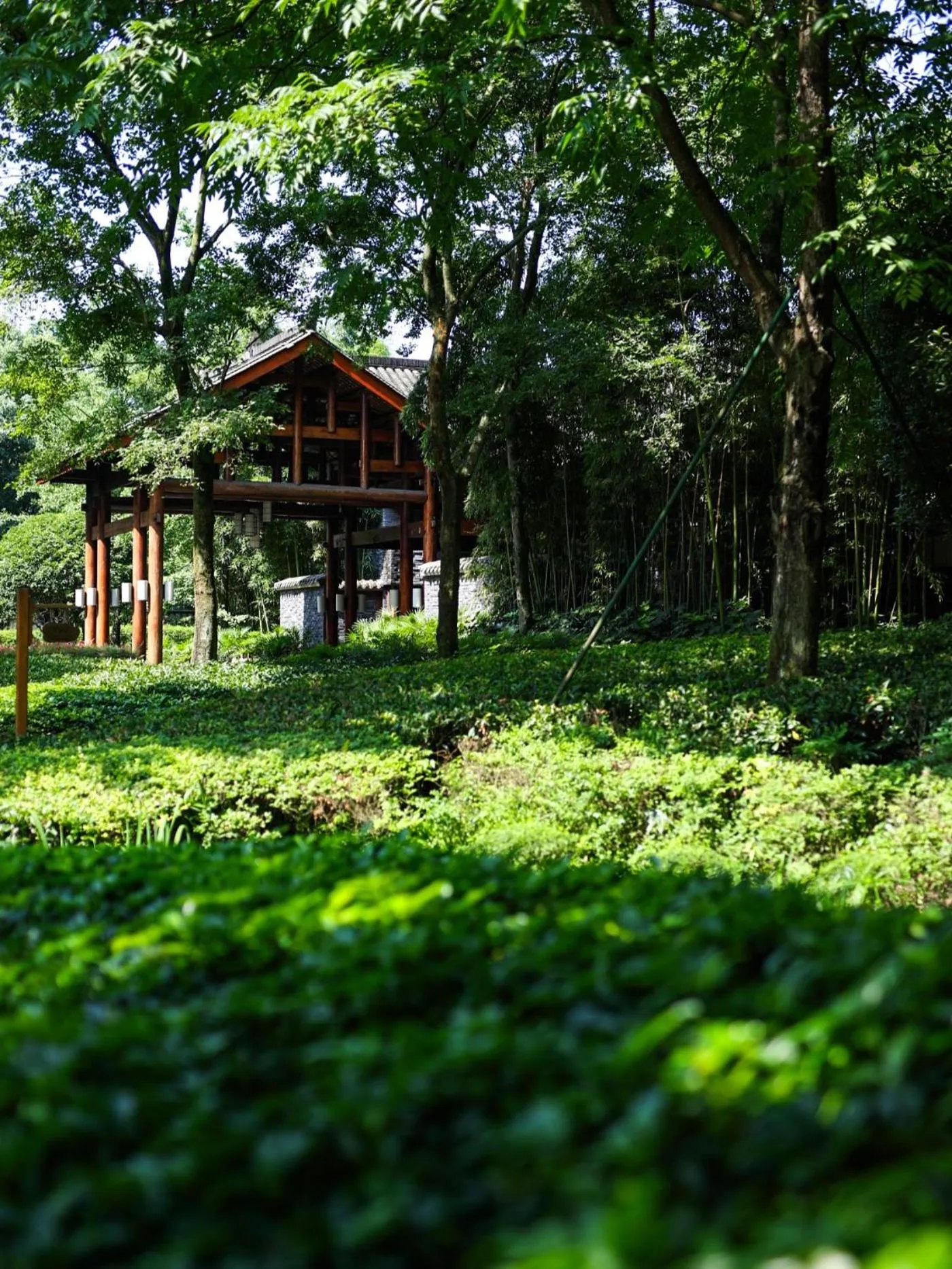 Six Senses Qing Cheng Mountain