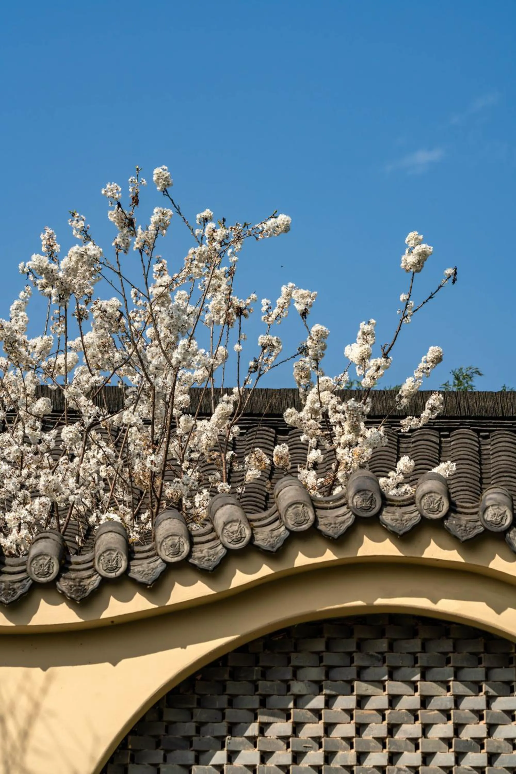 Six Senses Qing Cheng Mountain