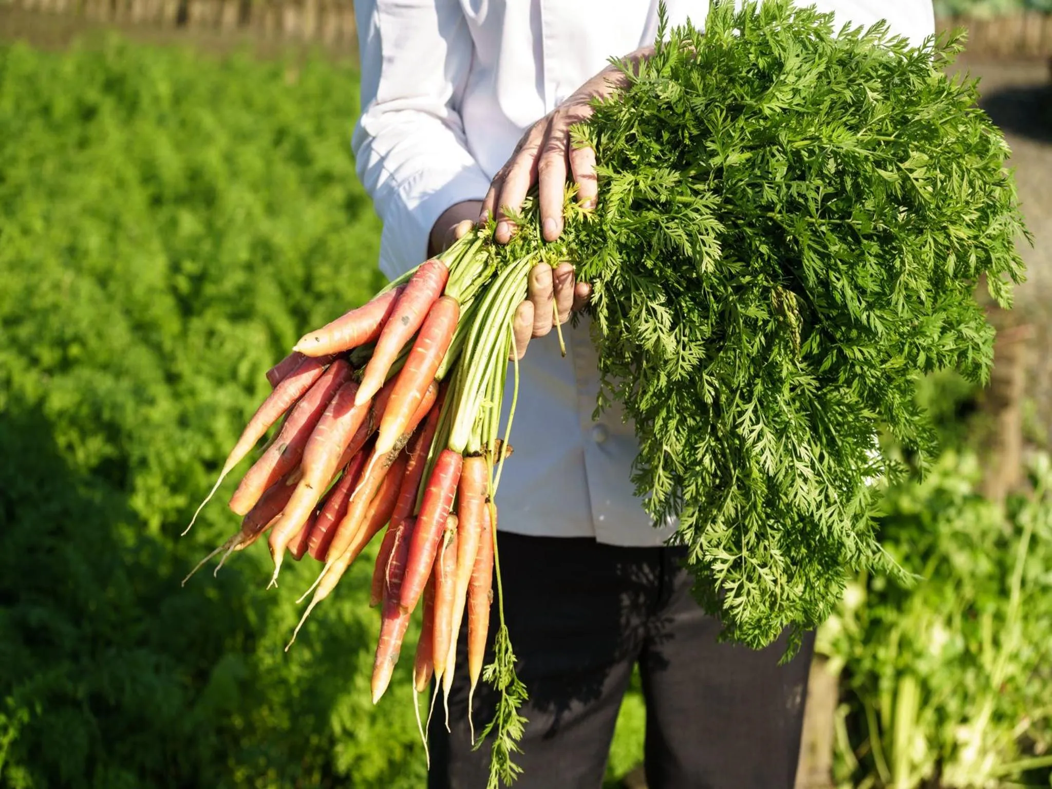 Other in Six Senses Qing Cheng Mountain