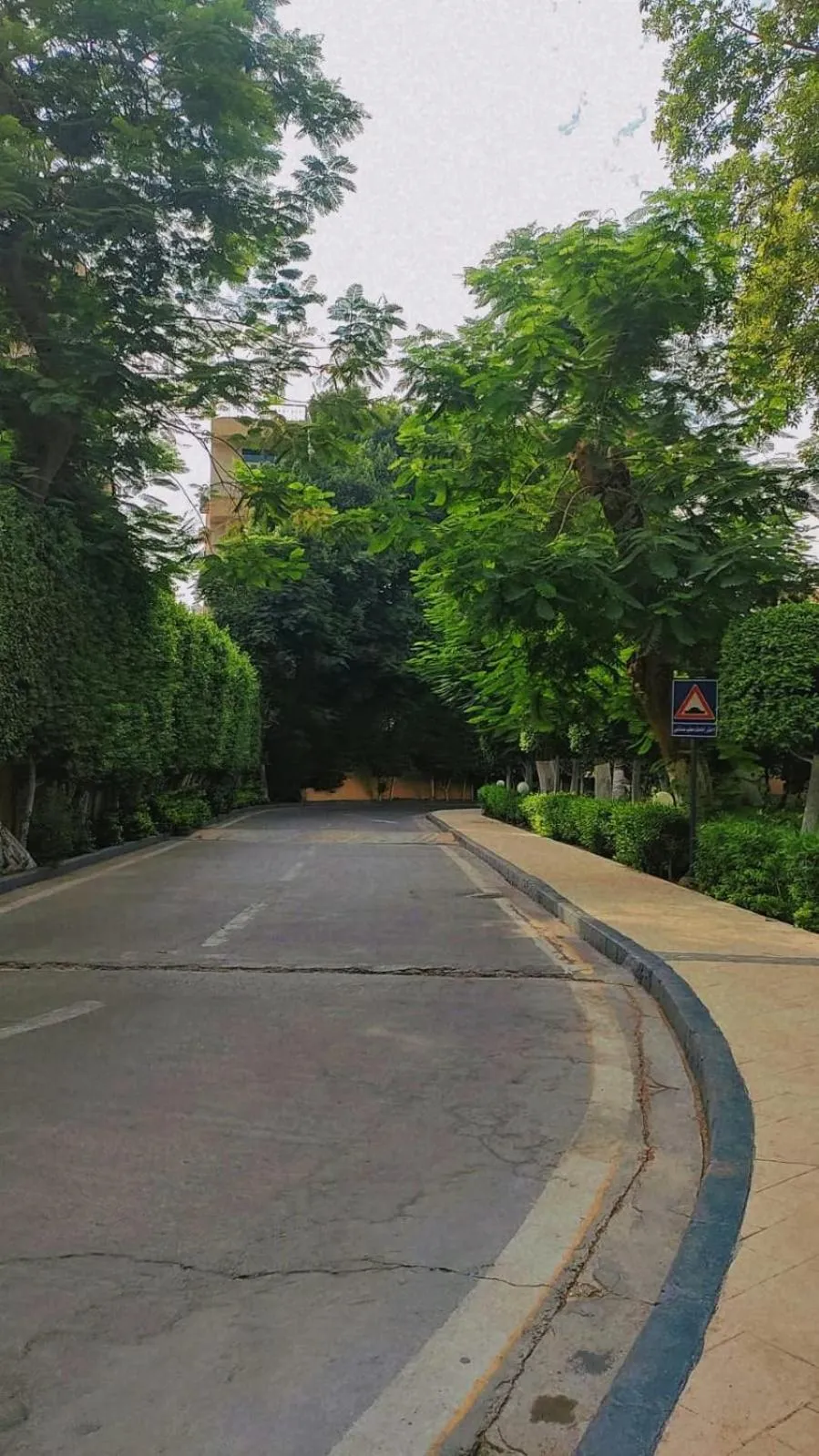 Day in Steigenberger Resort Achti