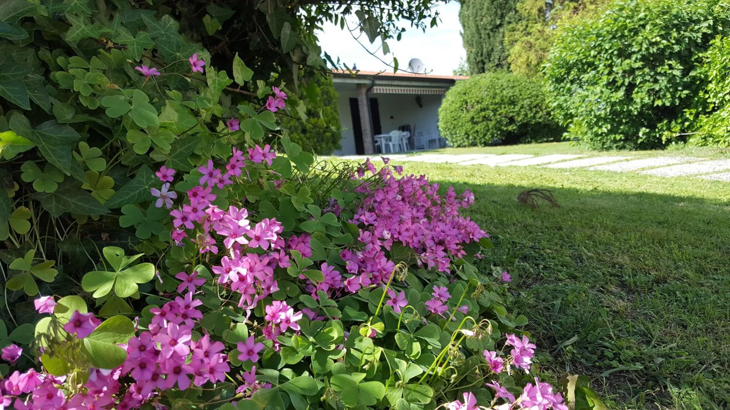 Garden in Italsol Residence Riai