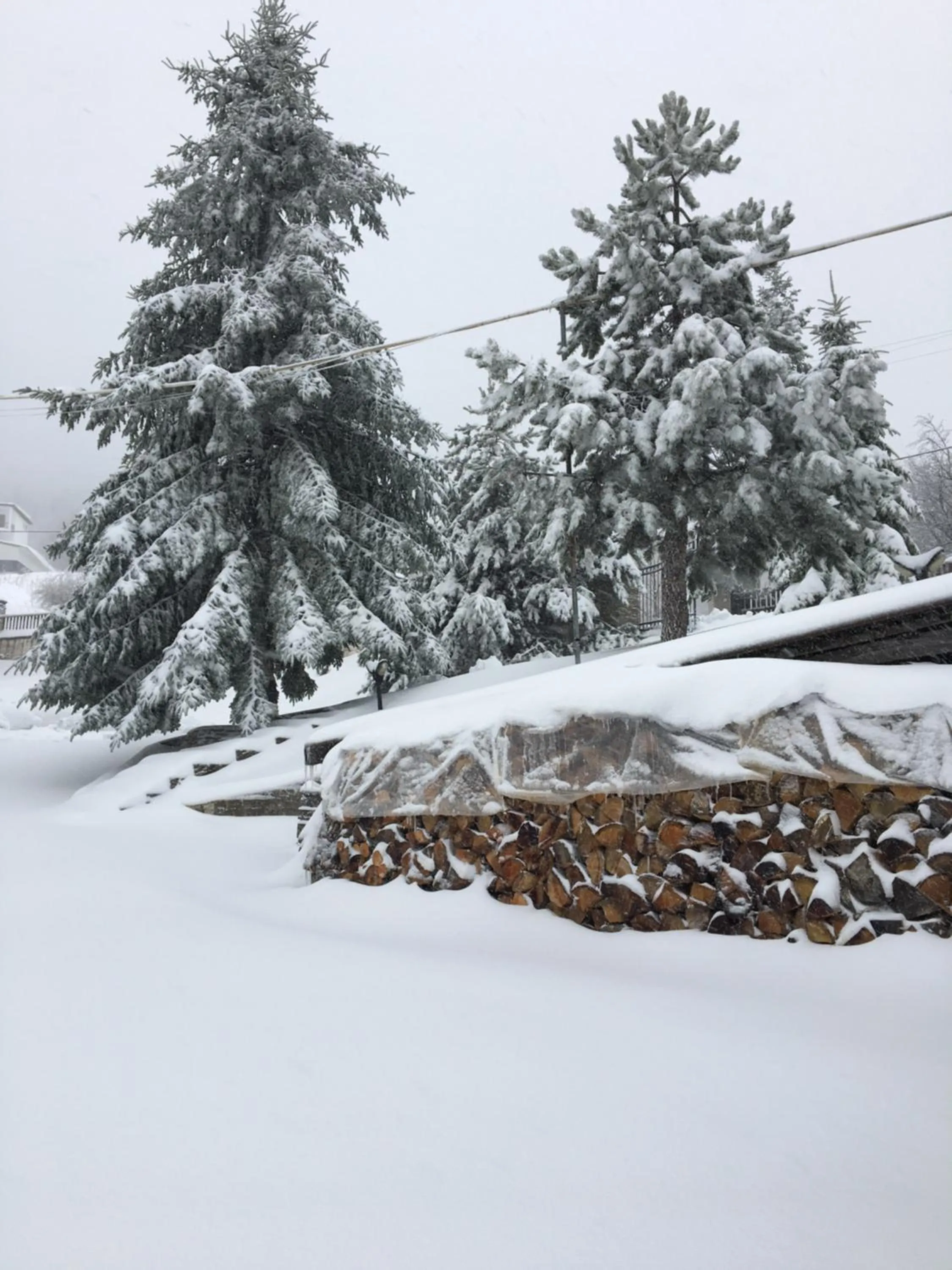 Garden in Naoussa Mountain Resort