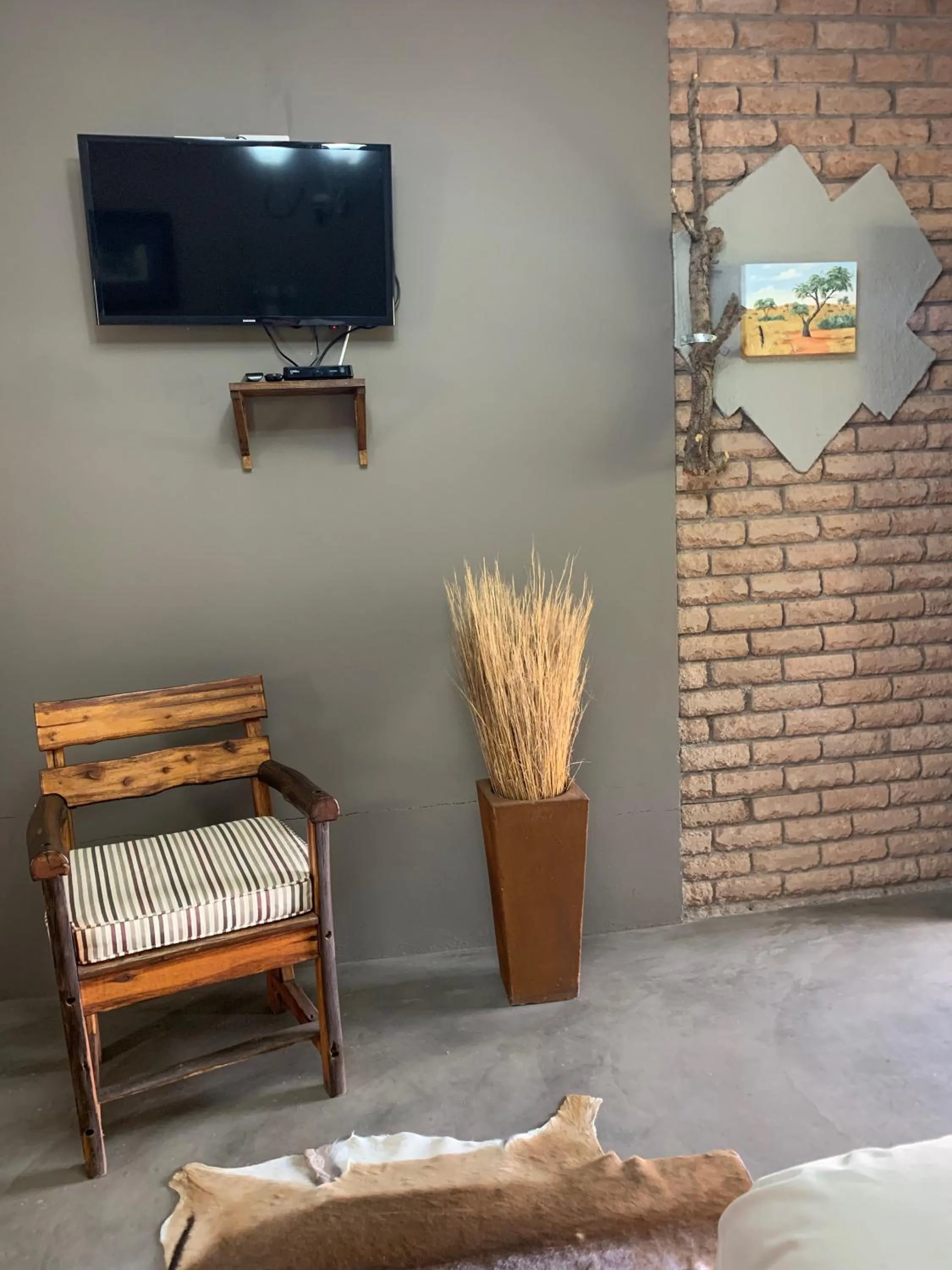 TV and multimedia in Country Lodge