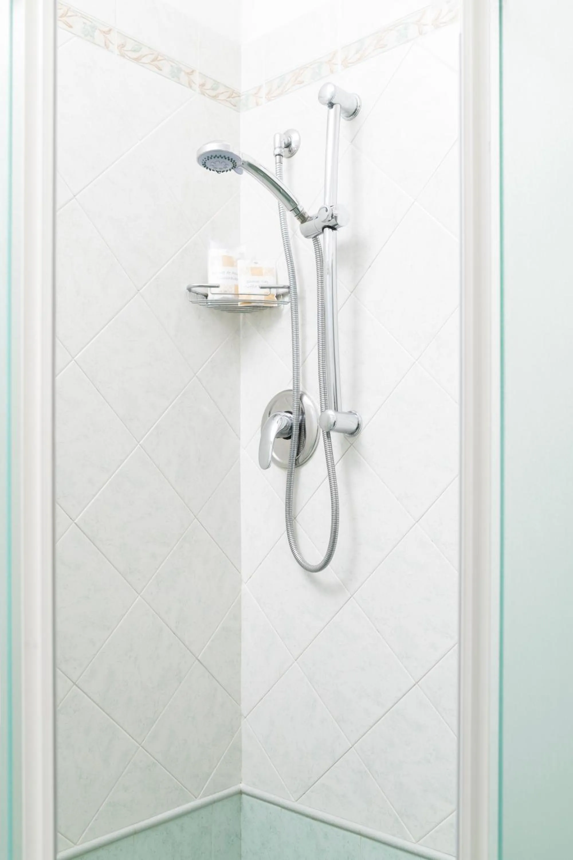 Hotel Rosa Maria Elite