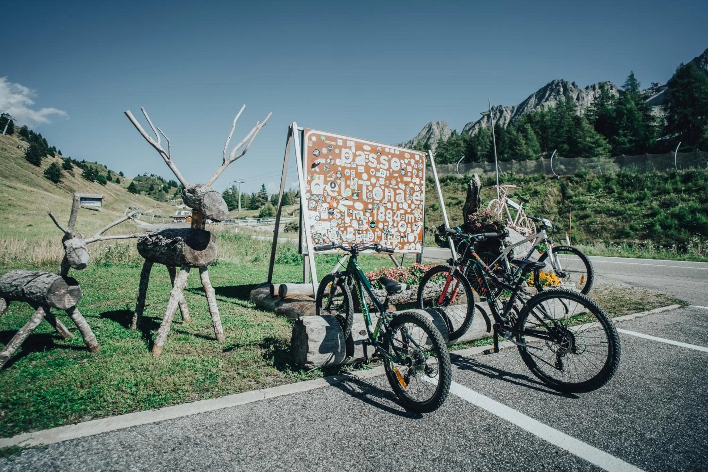 Summer in Hotel Bezzi