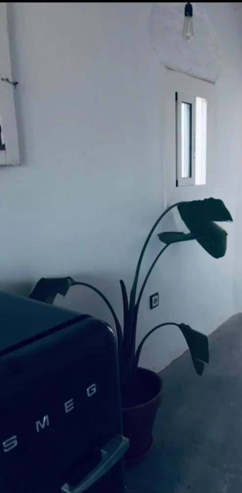 Living room in Apartments San Ignacio de Loyola