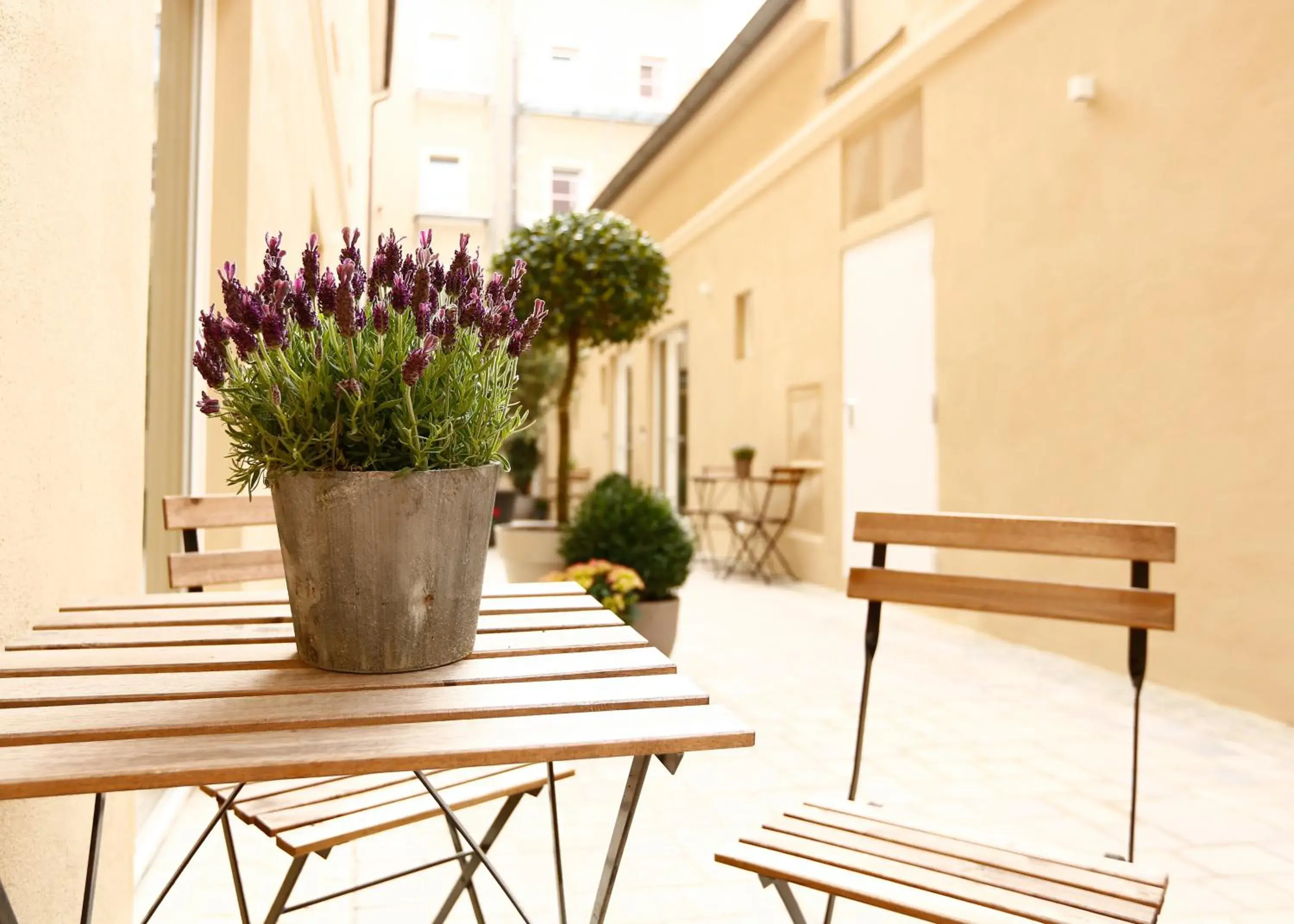 Property building in Hotel am Peterstor Property building in Hotel am Peterstor