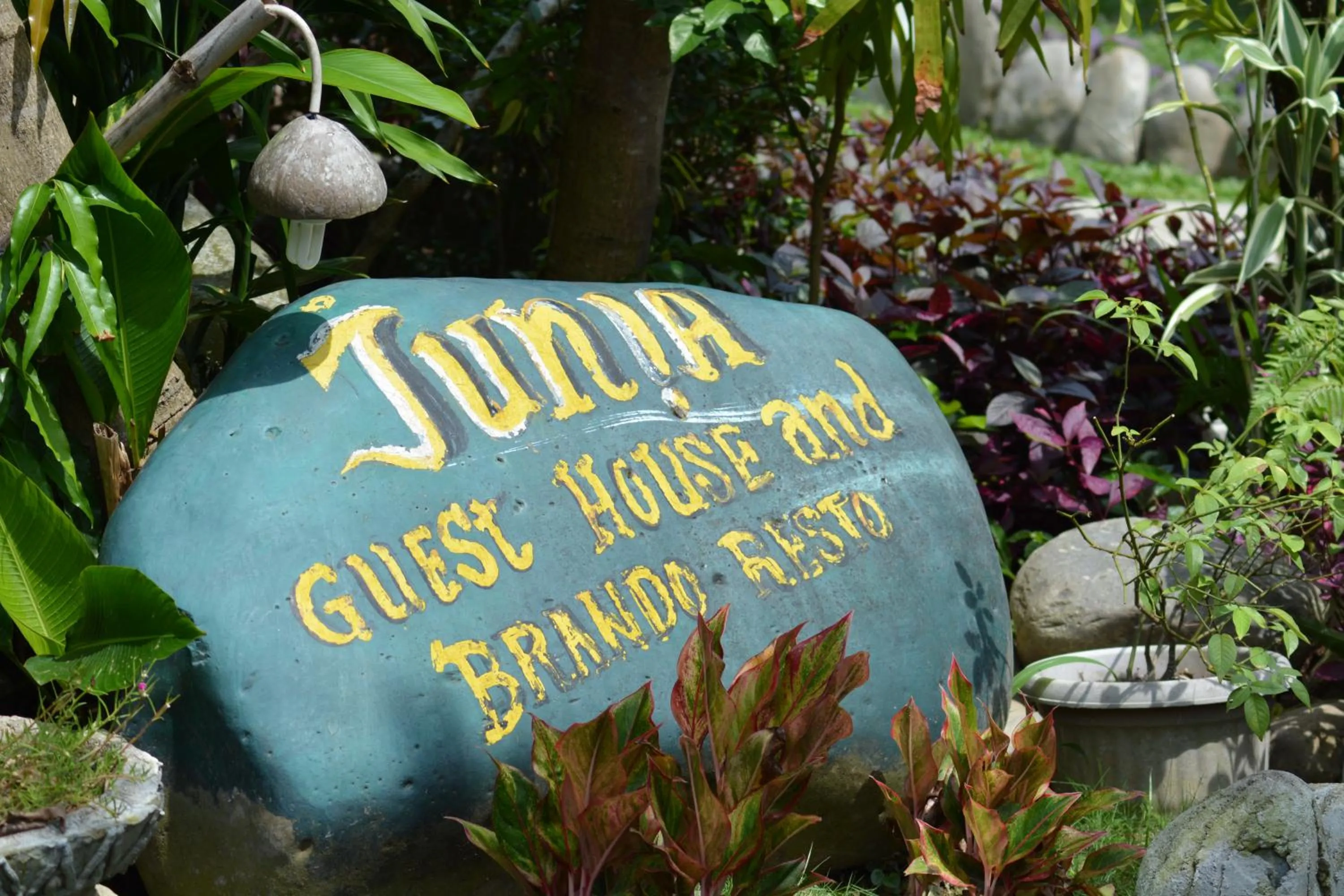 Junia Guesthouse Bukit Lawang