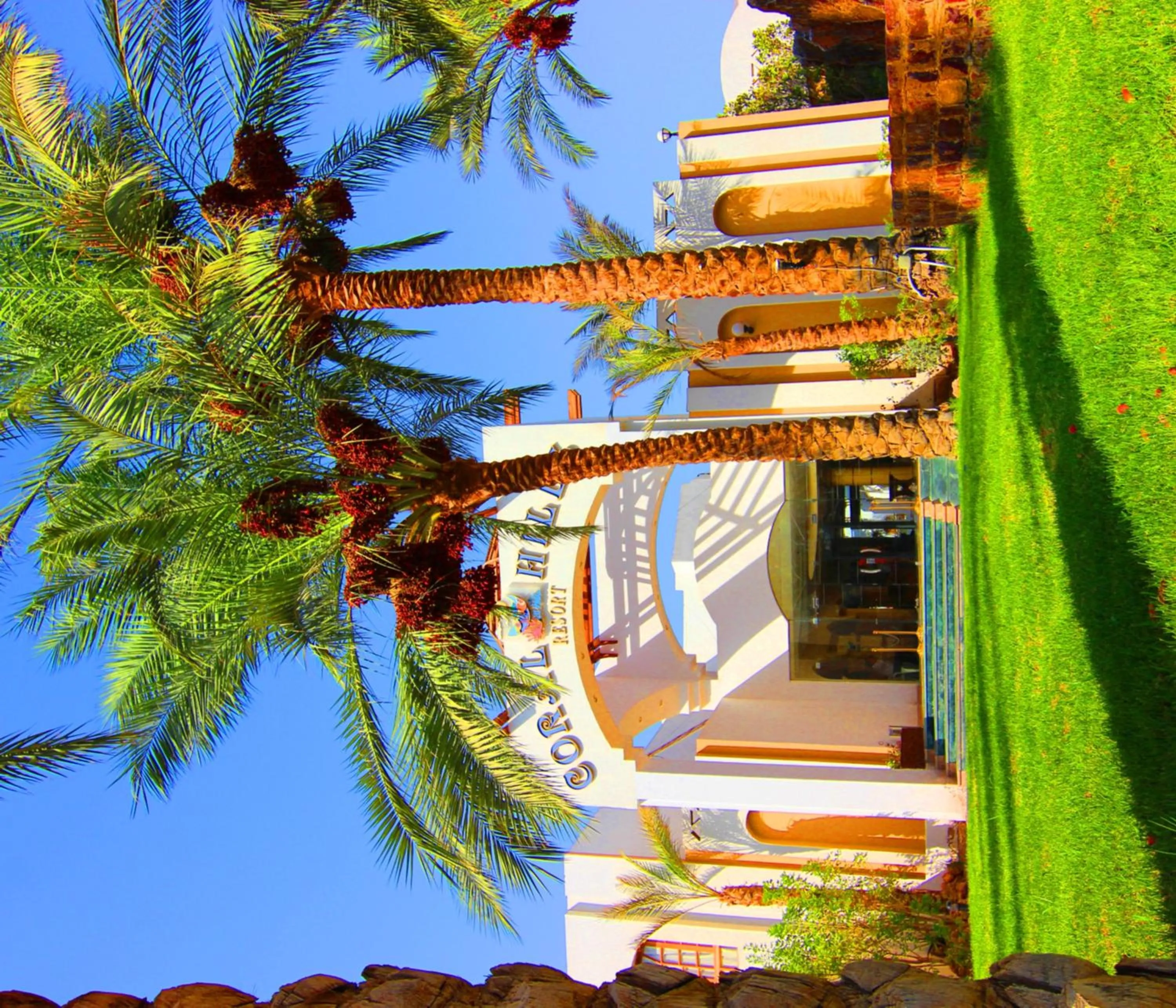 Garden in Coral Hills Resort Sharm El-Sheikh